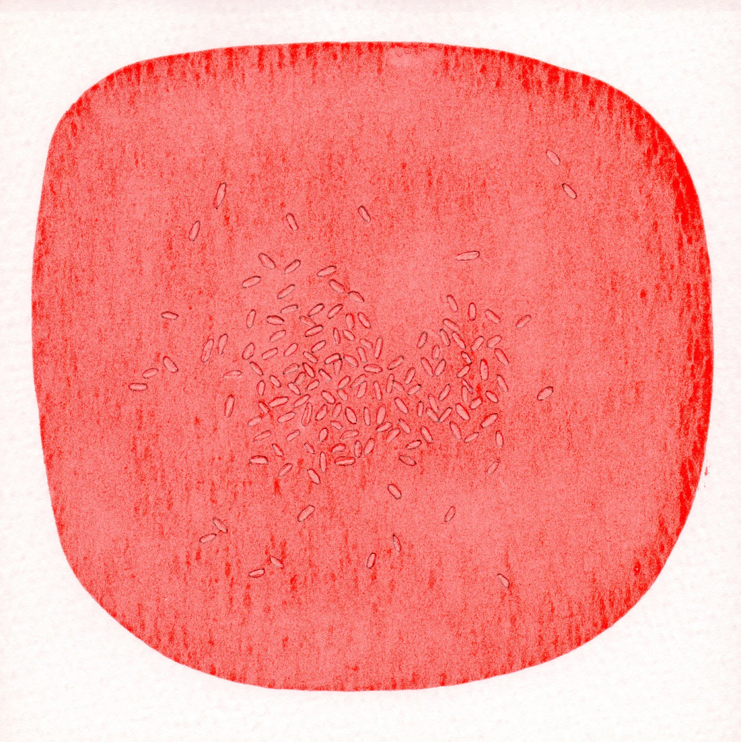 CELLULE.-ROSSO.--19.jpg