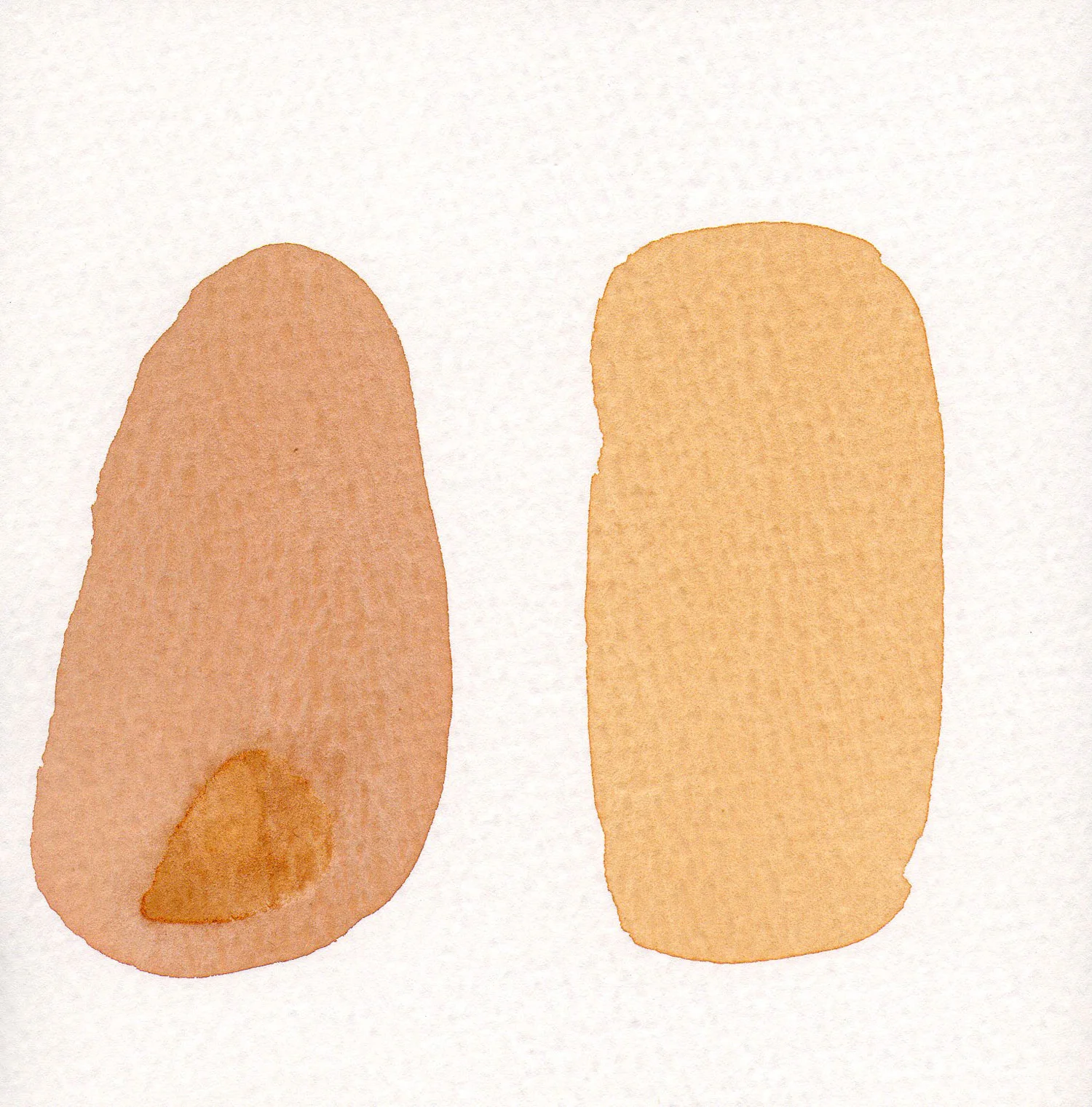 CELLULE.-TERRA.-10.jpg