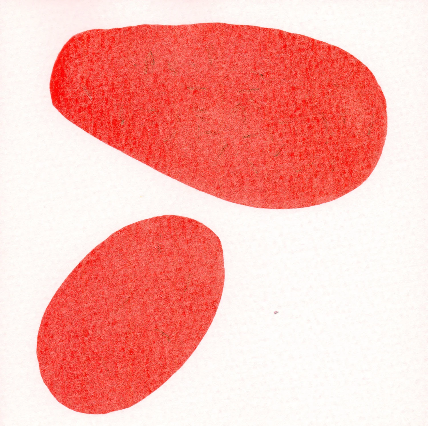 CELLULE.-ROSSO.--20.jpg
