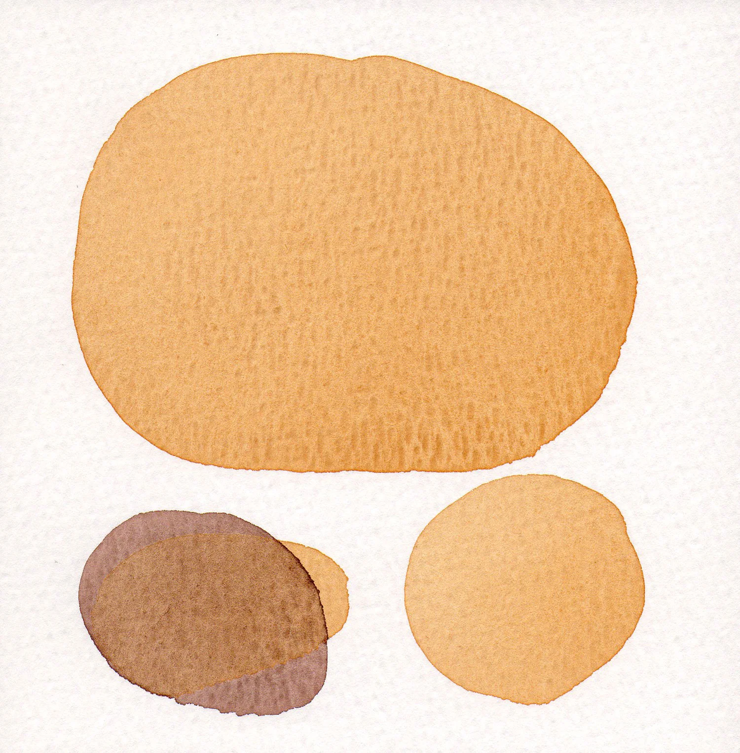 CELLULE.-TERRA.-18.jpg
