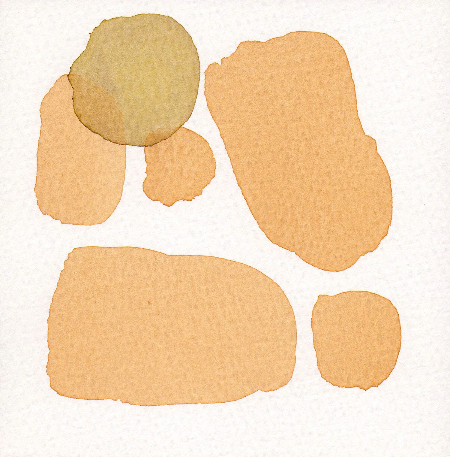 CELLULE.-TERRA.-19.jpg