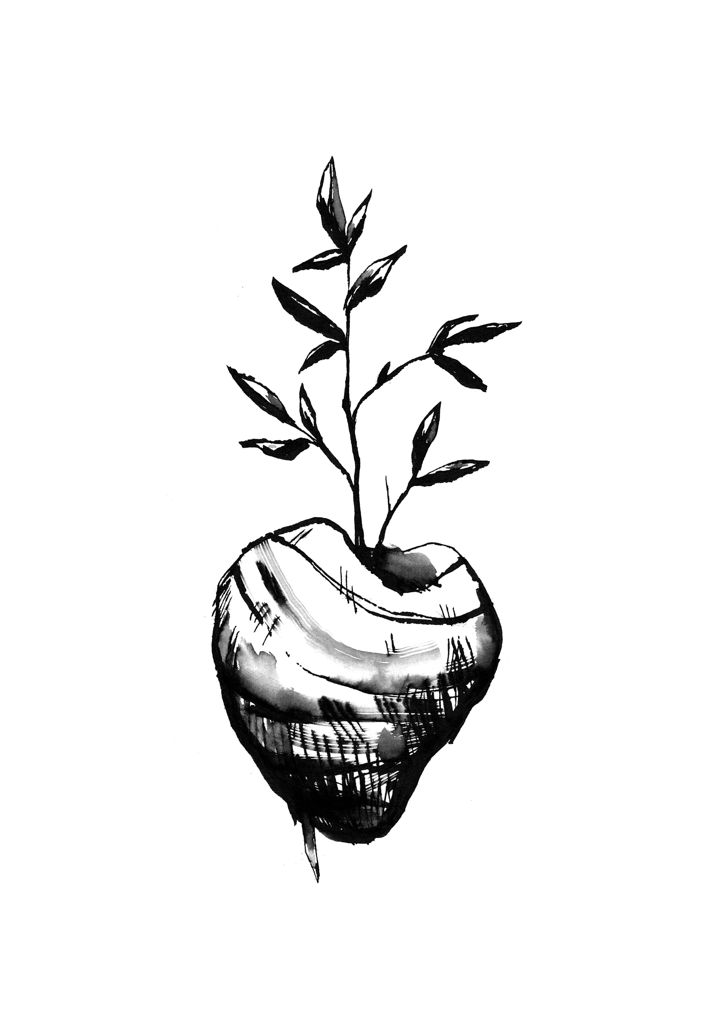 flash histoire 22.jpg