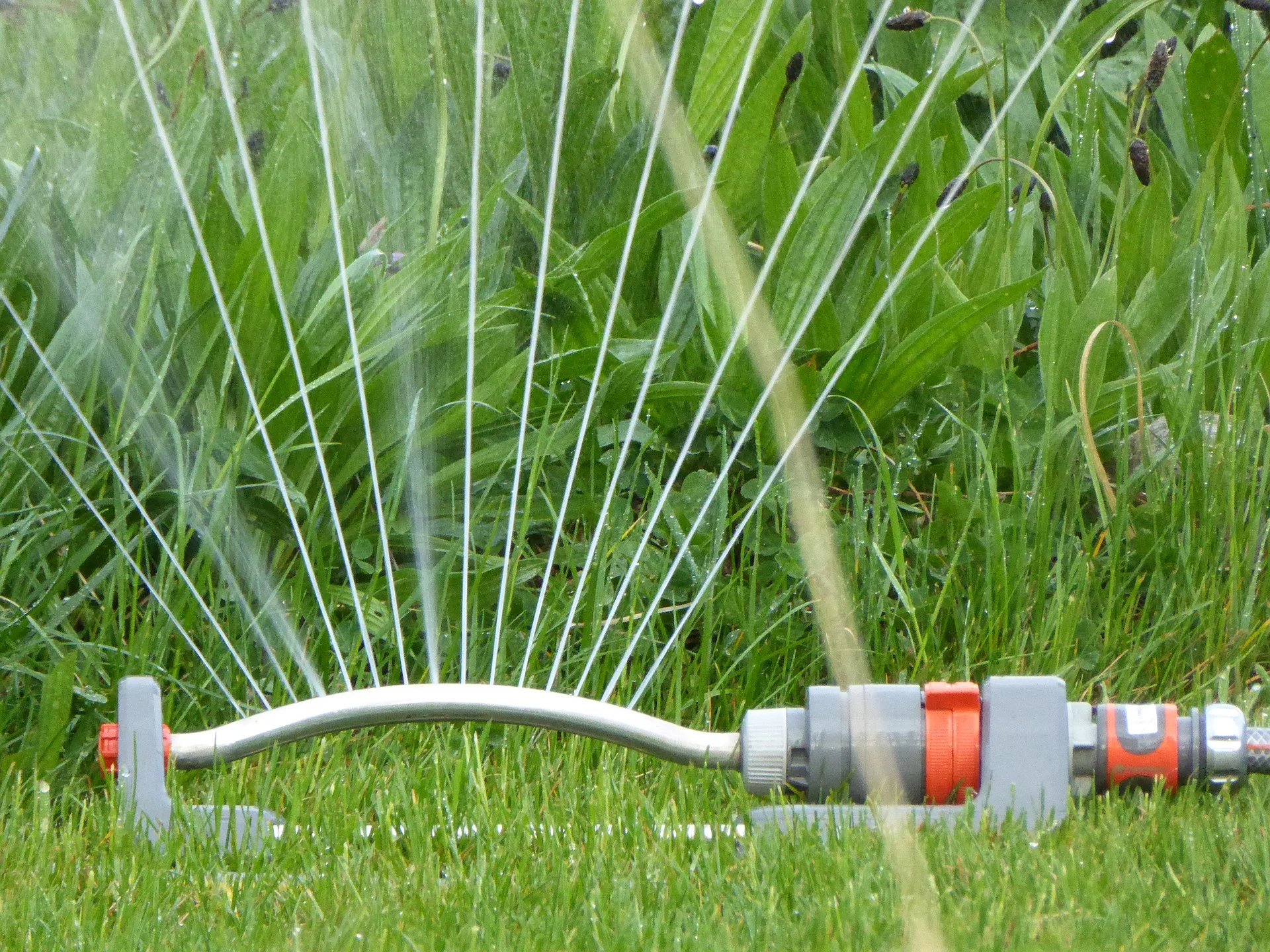 Turf Water