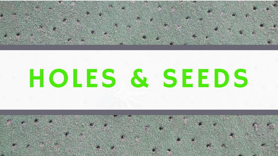 Holes and Seeds.png