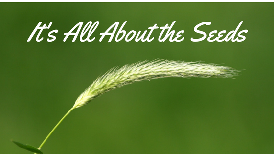 It's All About the Seeds.png