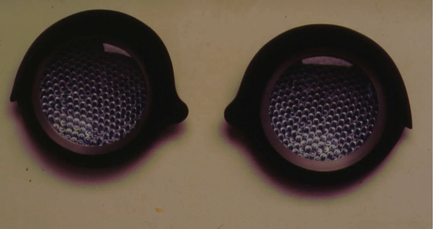  Large Compound Eyes 1997 epoxy resin, aluminum, plastic eyes, glass lenses 