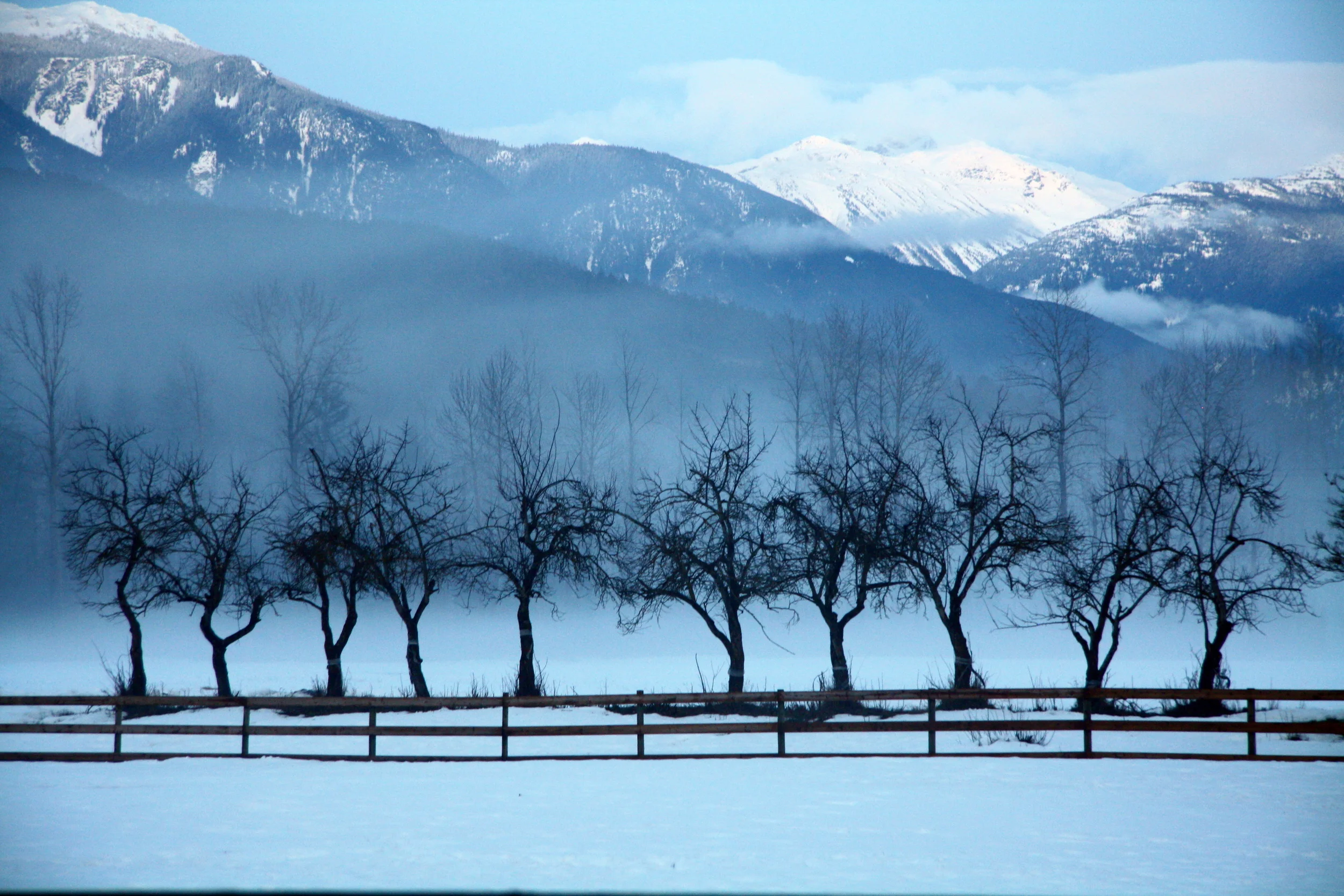  Early morning fog near Pemberton, British Columbia. 