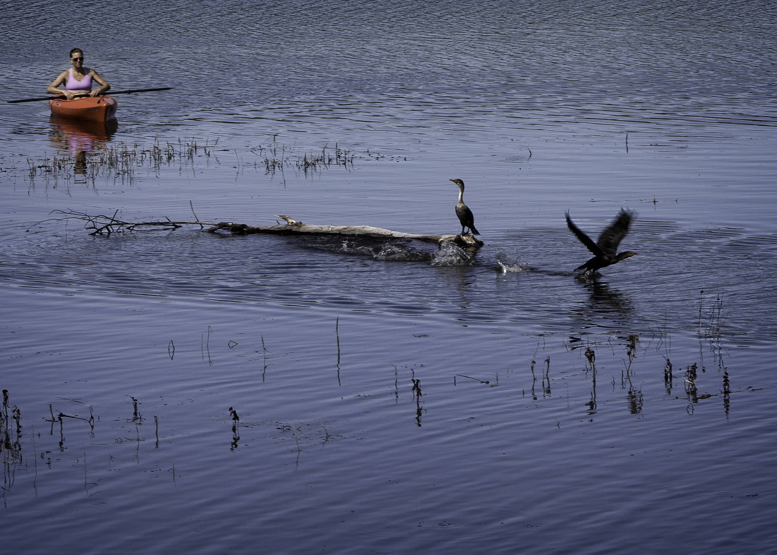 &nbsp; &nbsp; &nbsp; &nbsp; &nbsp; &nbsp; &nbsp; &nbsp; &nbsp; &nbsp; &nbsp; &nbsp; &nbsp; &nbsp; &nbsp; &nbsp; &nbsp; &nbsp; &nbsp; &nbsp; &nbsp; &nbsp; &nbsp; &nbsp; &nbsp; &nbsp; &nbsp; &nbsp; &nbsp; &nbsp; &nbsp; &nbsp; &nbsp; &nbsp; &nbsp; &nbs…