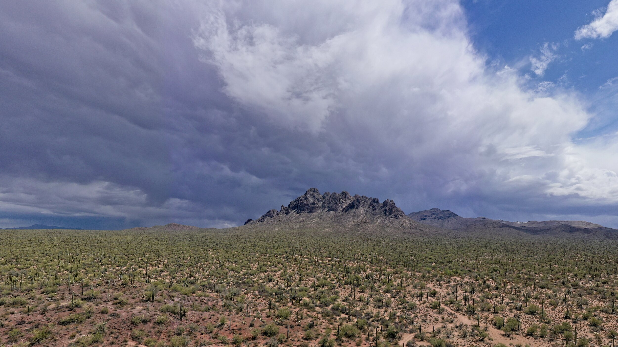Ironwood National Monument, Central Arizona, USA
