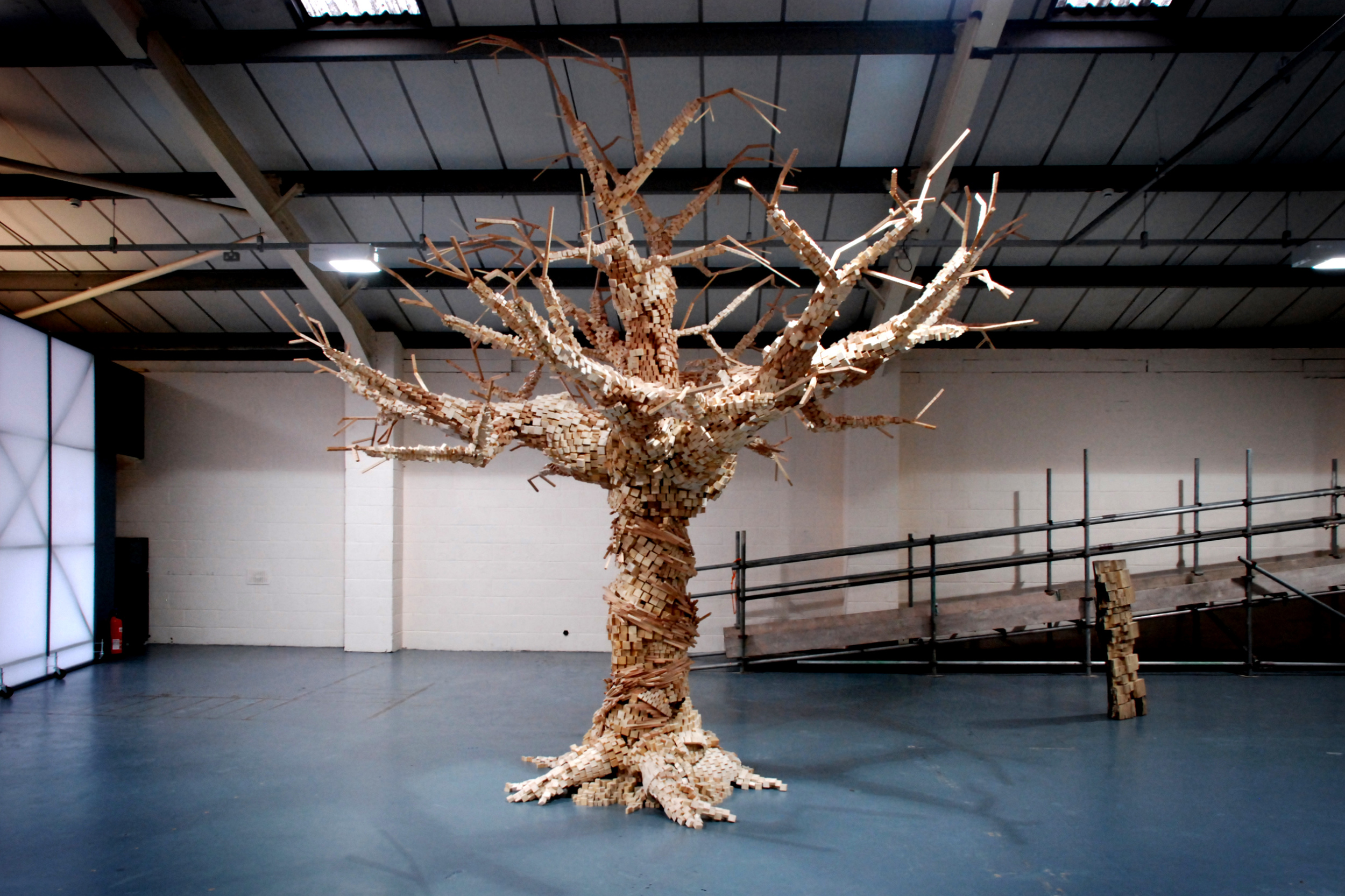 Tree Study. /2013/ Wooden Sculpture