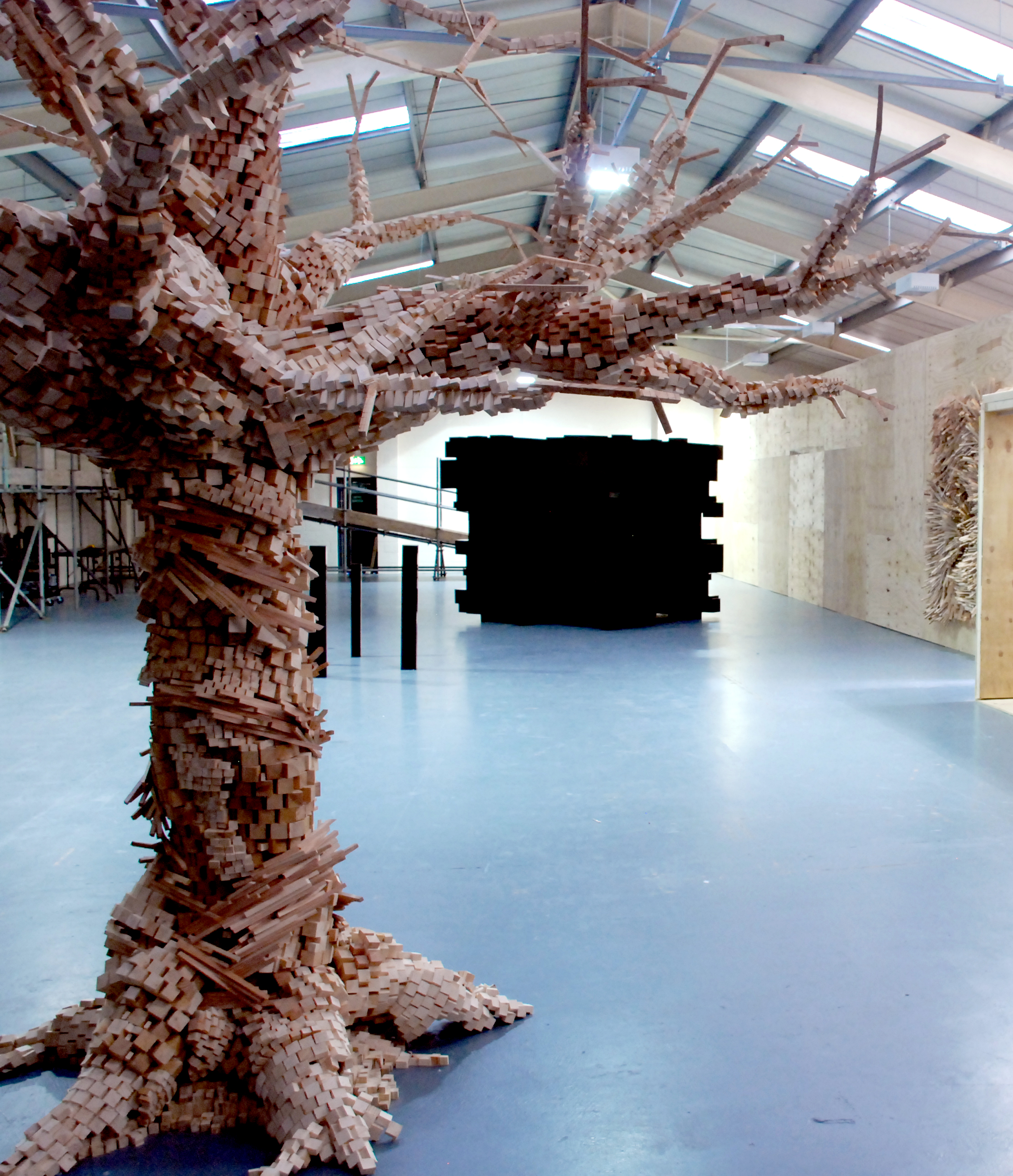 Tree Study, 2013