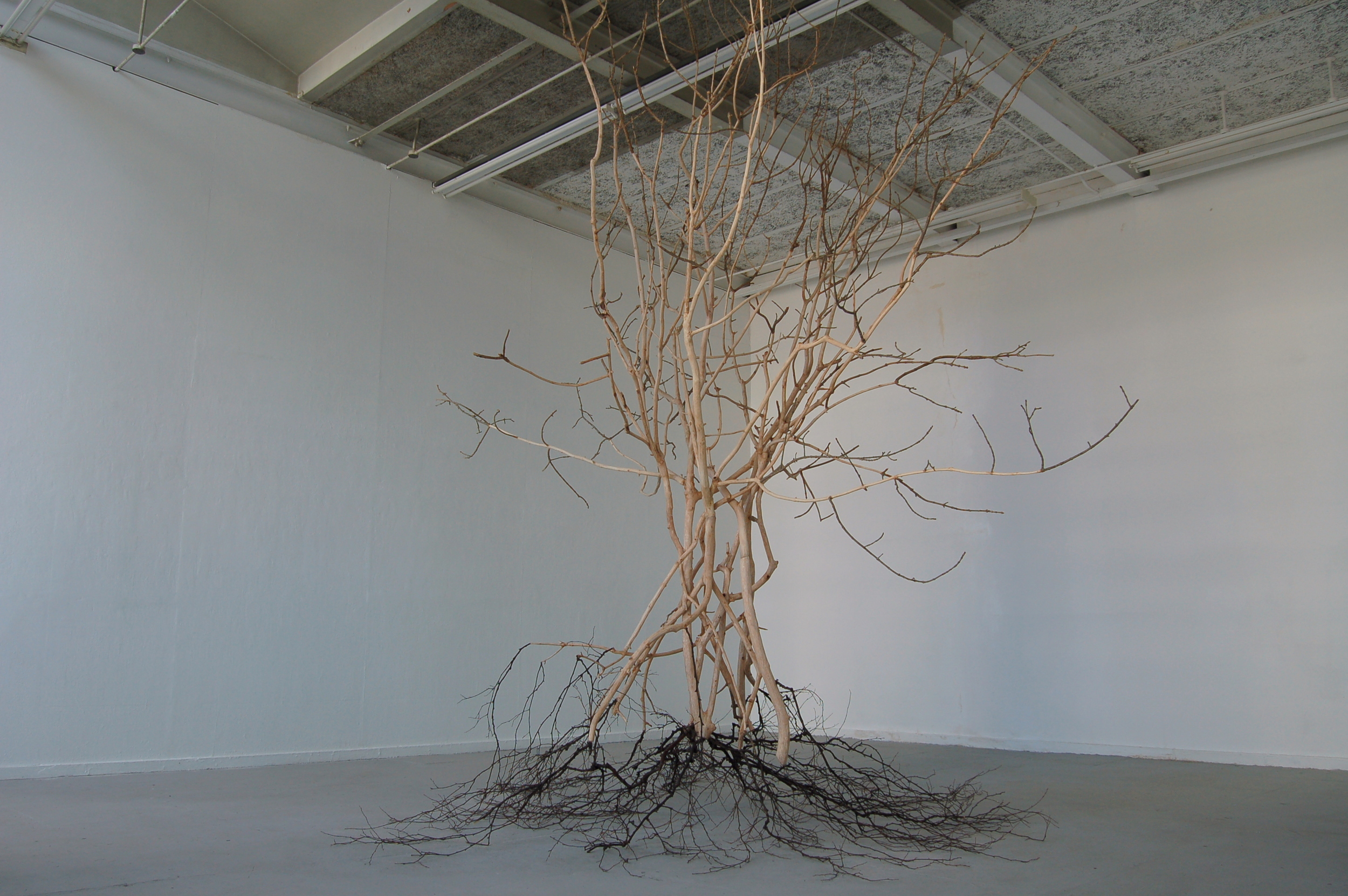 Fractals, 2010/ Wooden installation