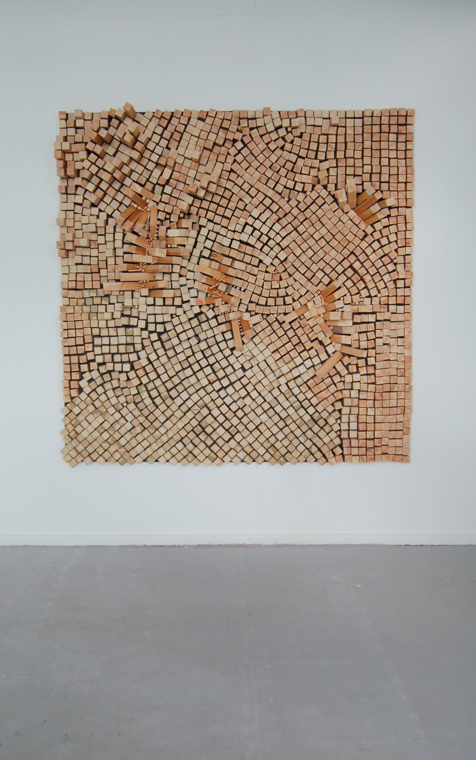 Skin Study, no.1/2010, Wooden relief