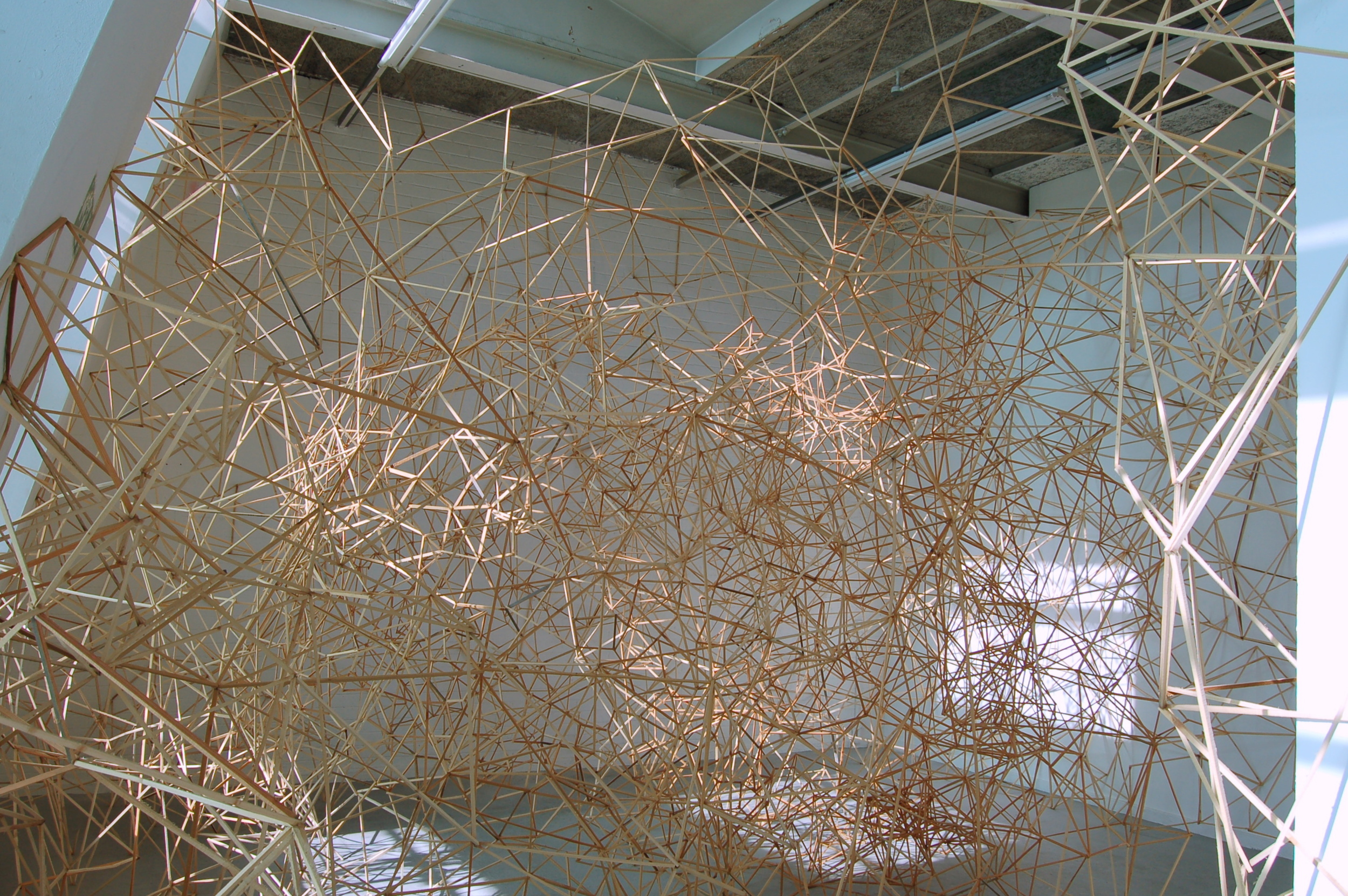 Simulated Growth, 2010/ Wooden installation