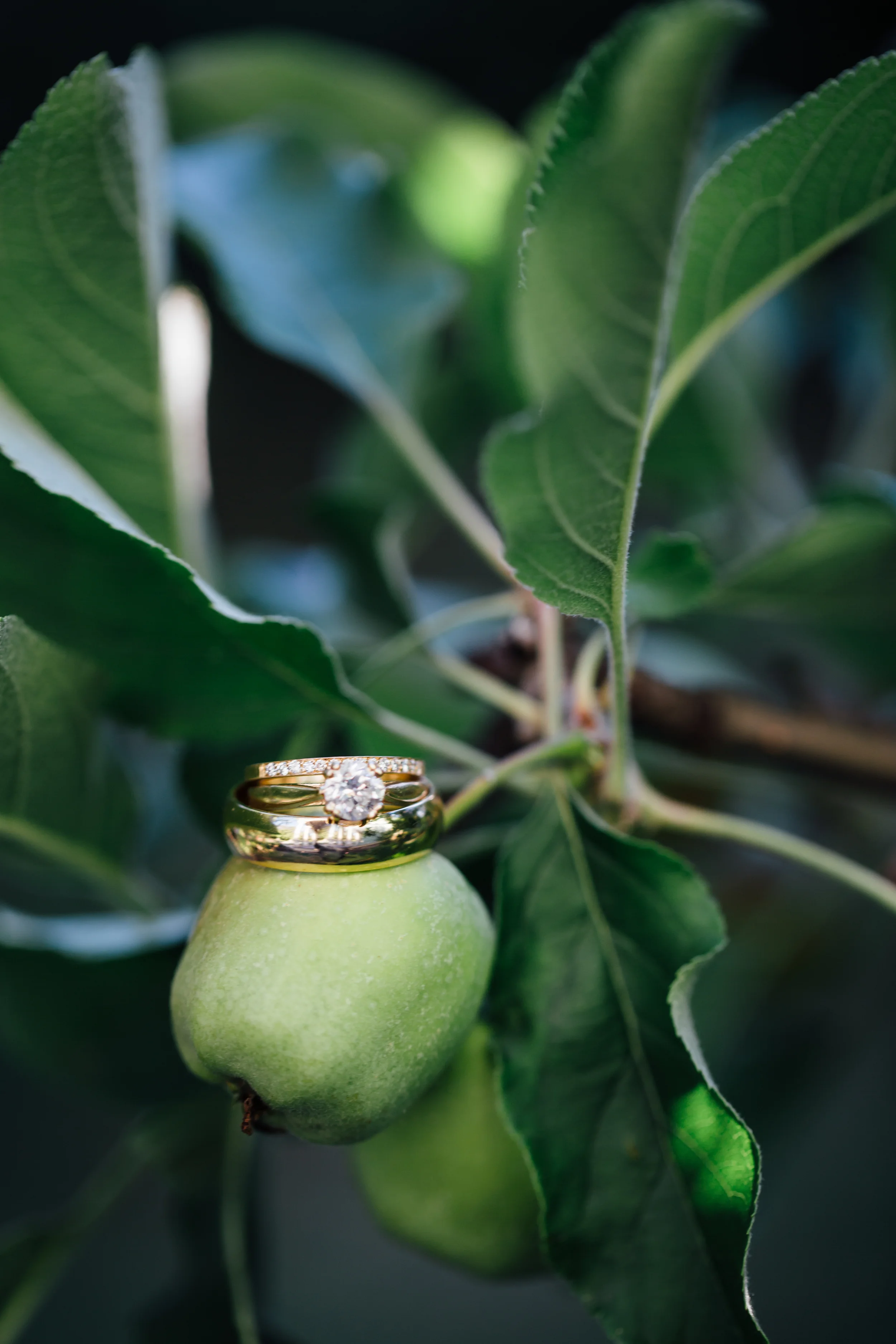 Henninger Wedding 2016 (151 of 152).jpg