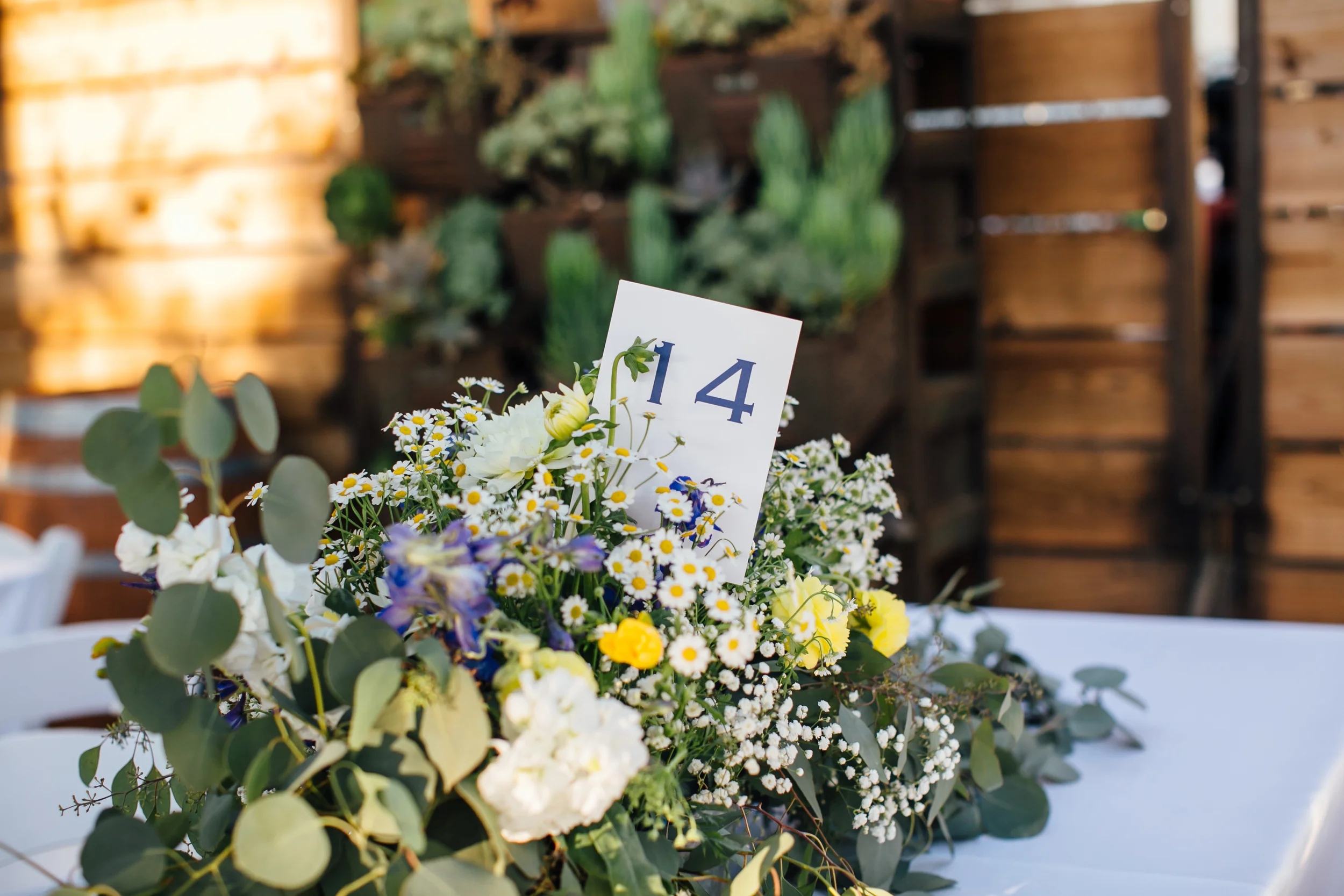 Freeberg Wedding, 2016 (198 of 273).jpg