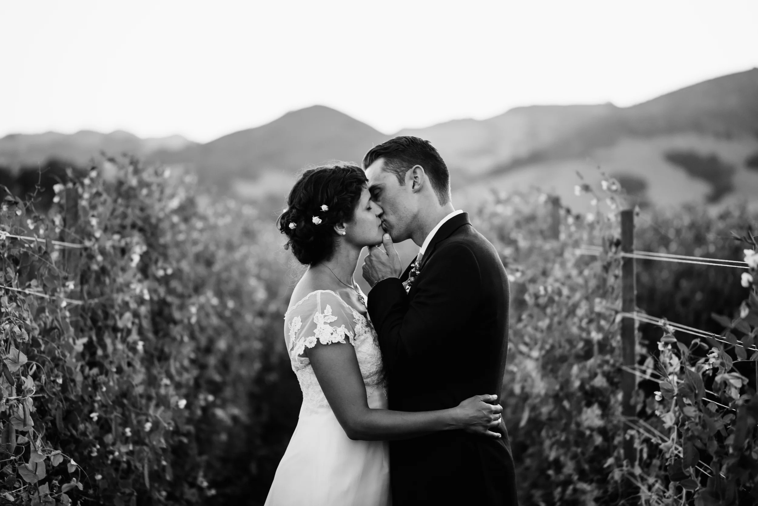 Freeberg Wedding, 2016 (258 of 273).jpg