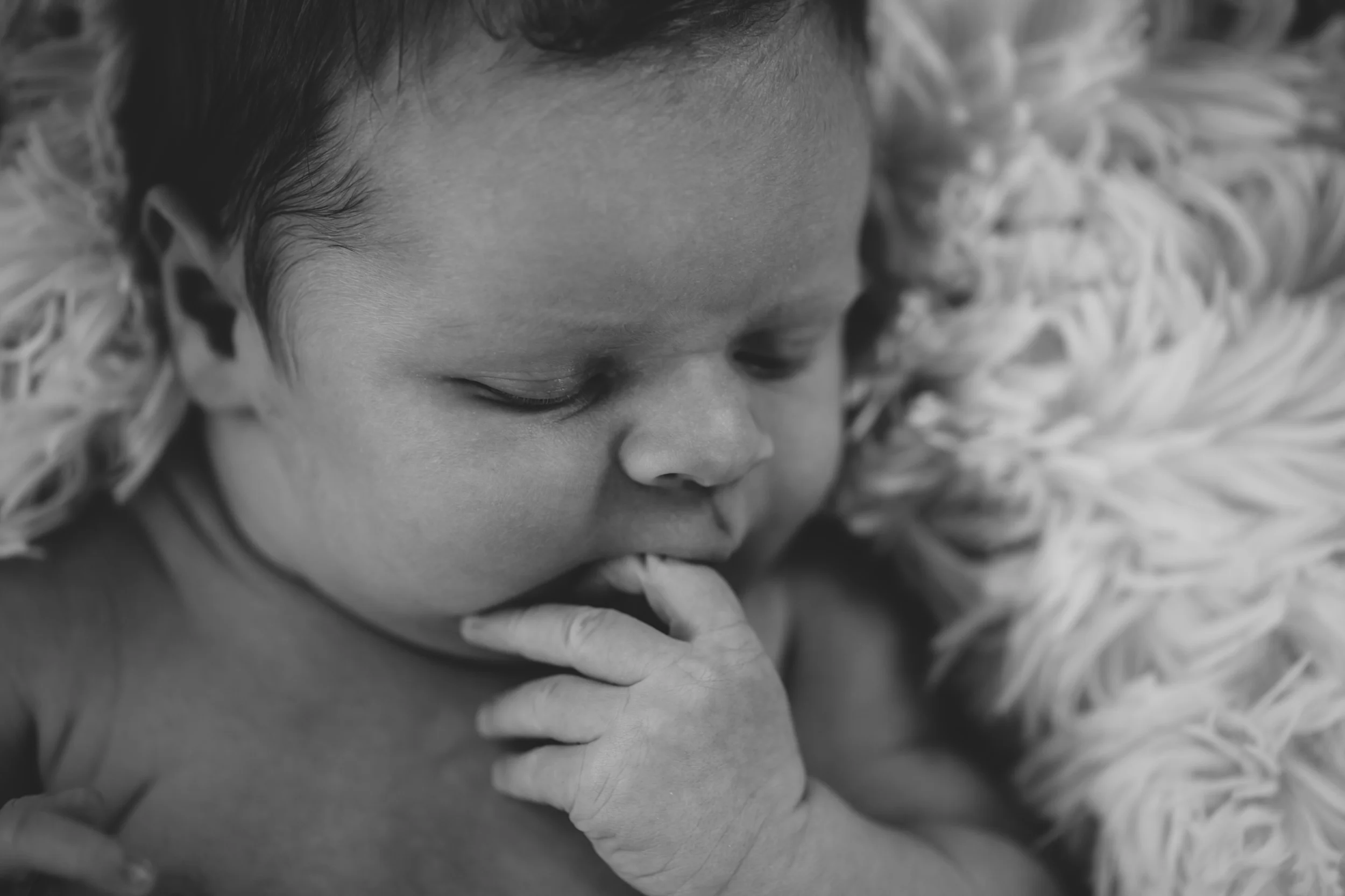 Otto Newborn, 2016 56.jpg