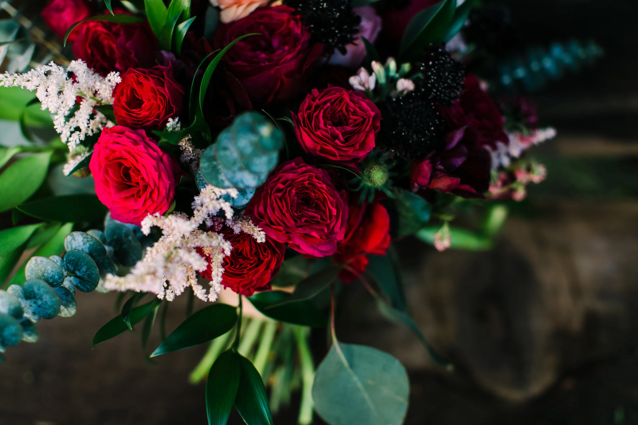 COLLEEN + JASON 2018 (258 of 385).jpg