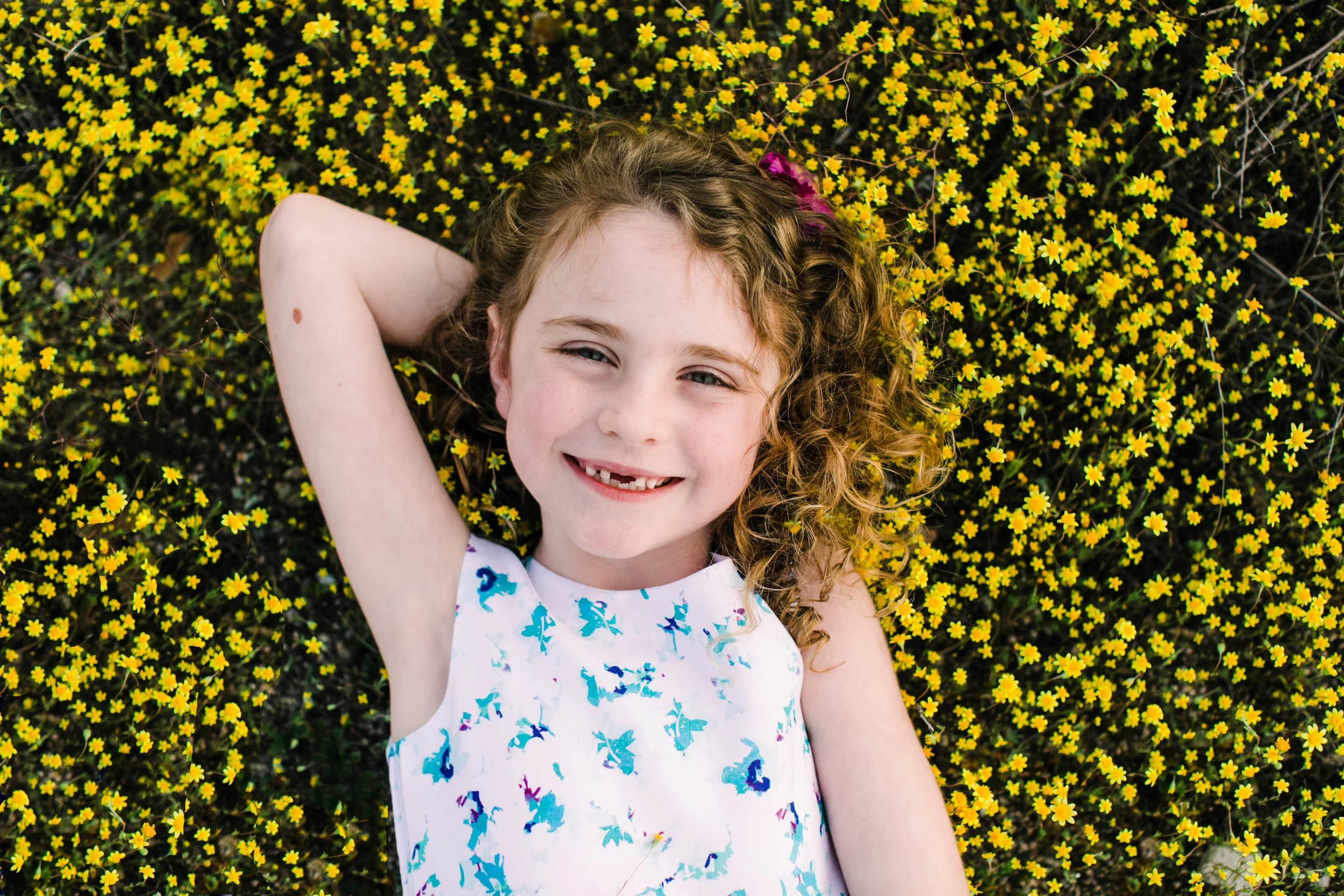 Juliet Wildflowers, 2018 (23 of 50).jpg