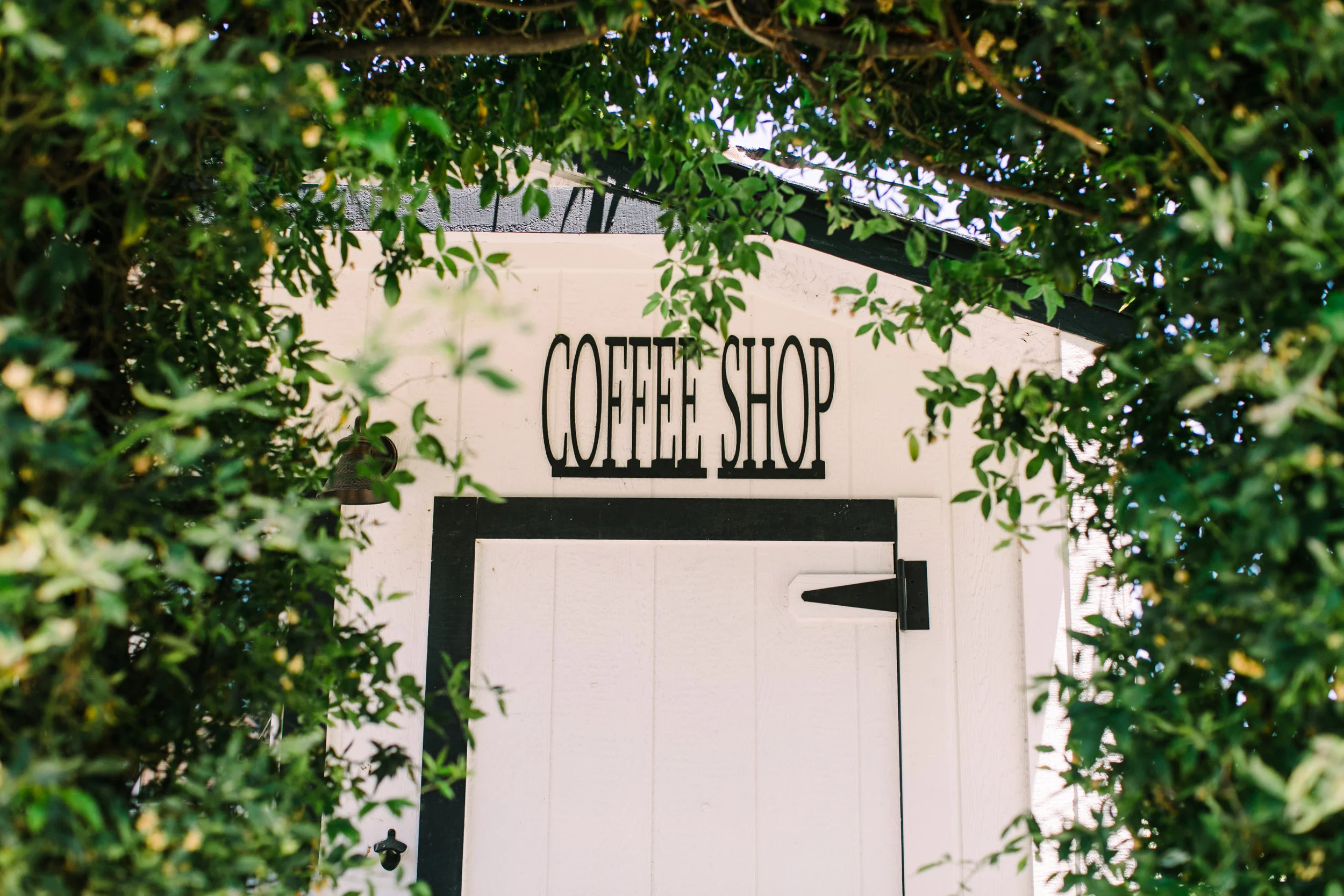 alabama+wedding+photos+garden+birchwood (3 of 111).jpg