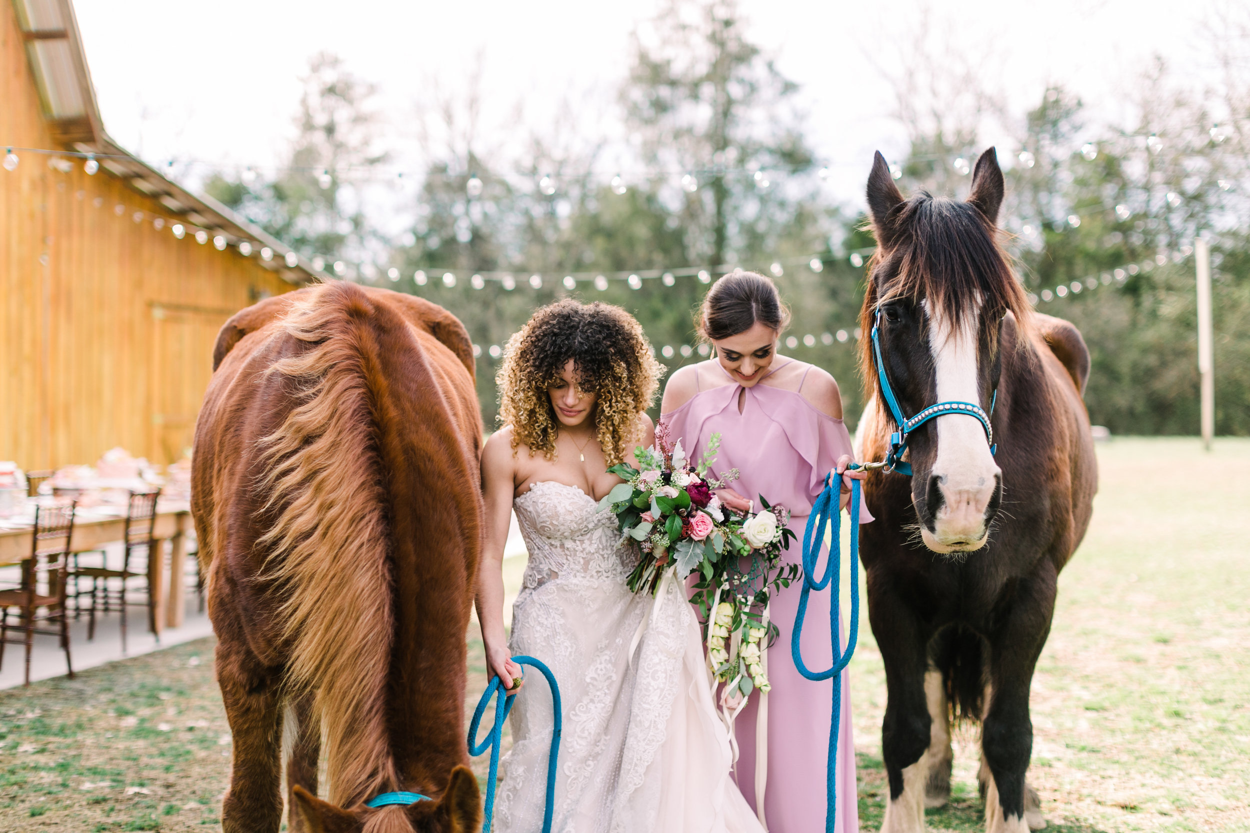 romantic+valentines+day+wedding+horses+chapel (9 of 11).jpg