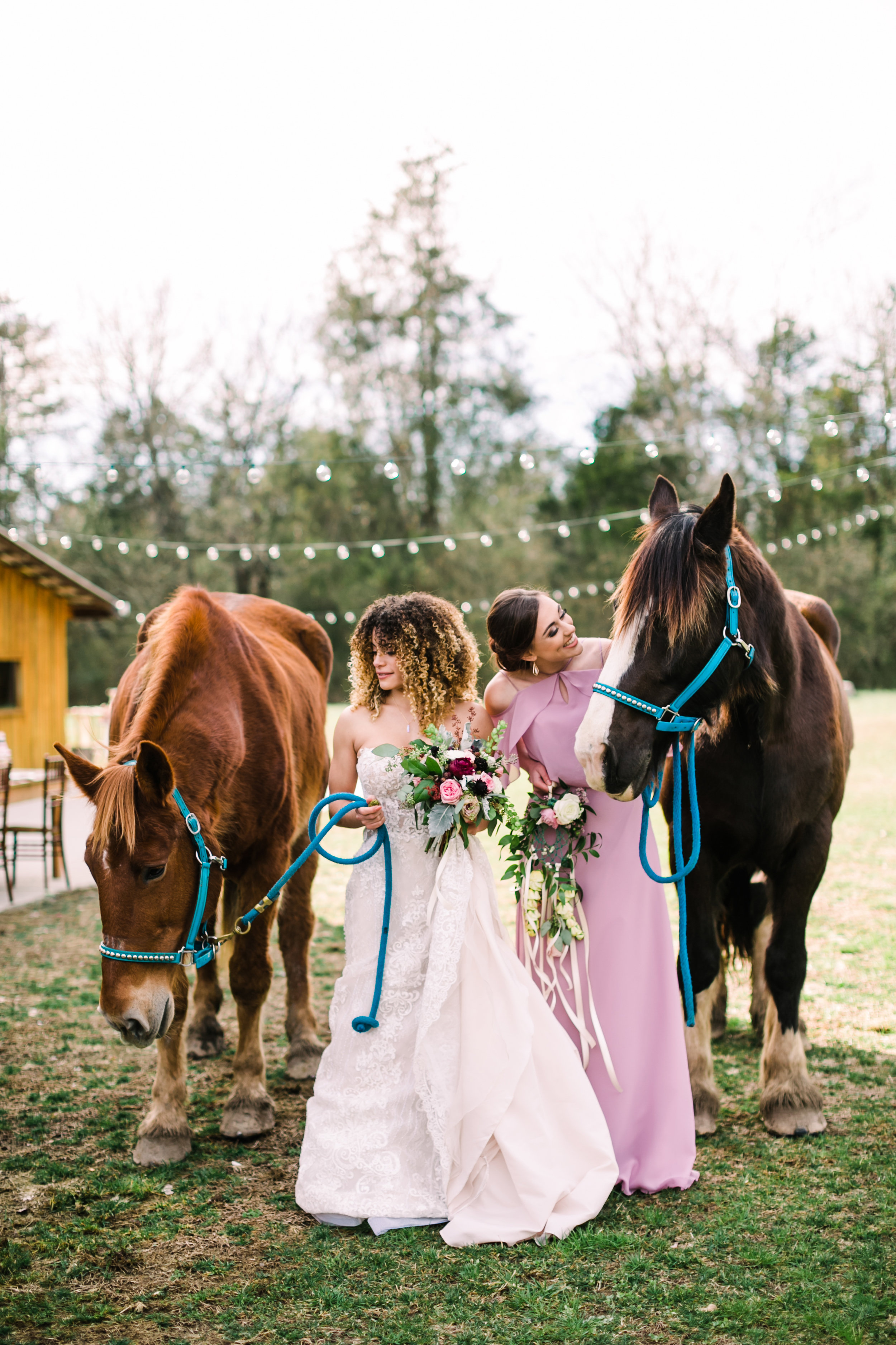 romantic+valentines+day+wedding+horses+chapel (7 of 11).jpg