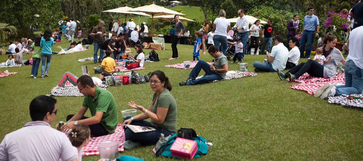Parish Picnic
