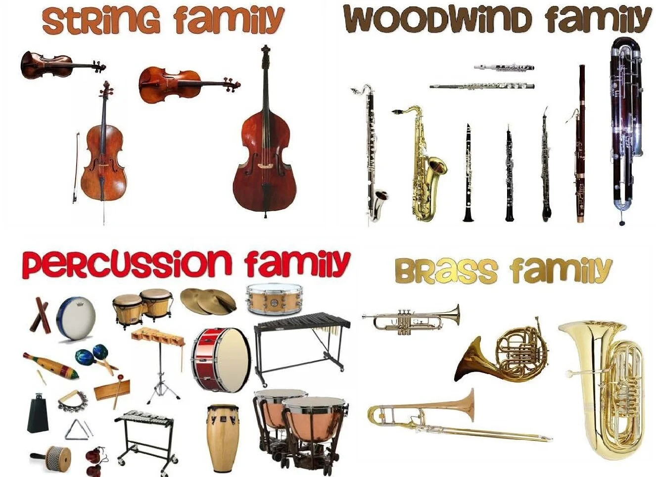 Instruments of the Orchestra jpg.jpg