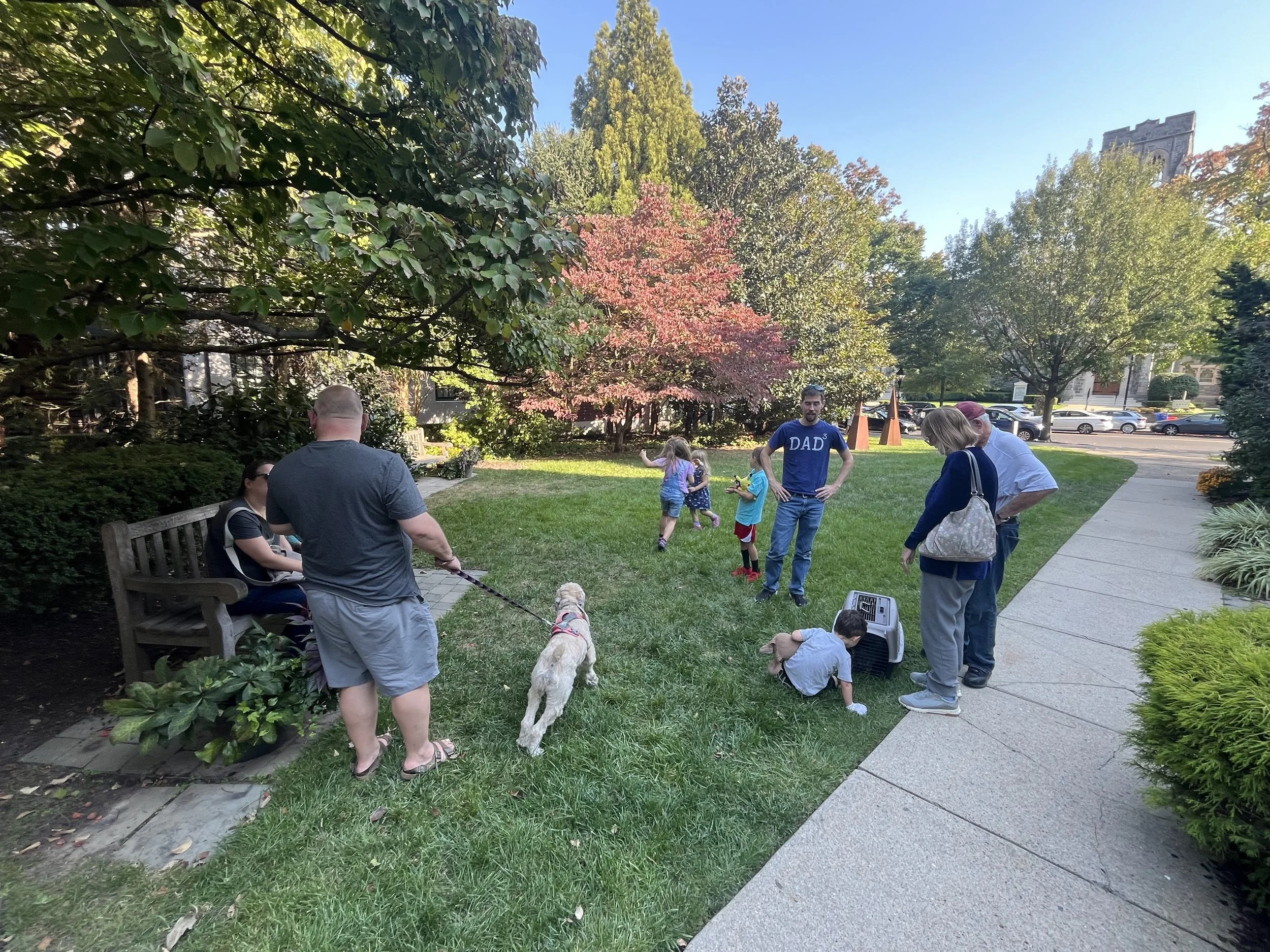 Blessing of the Animals
