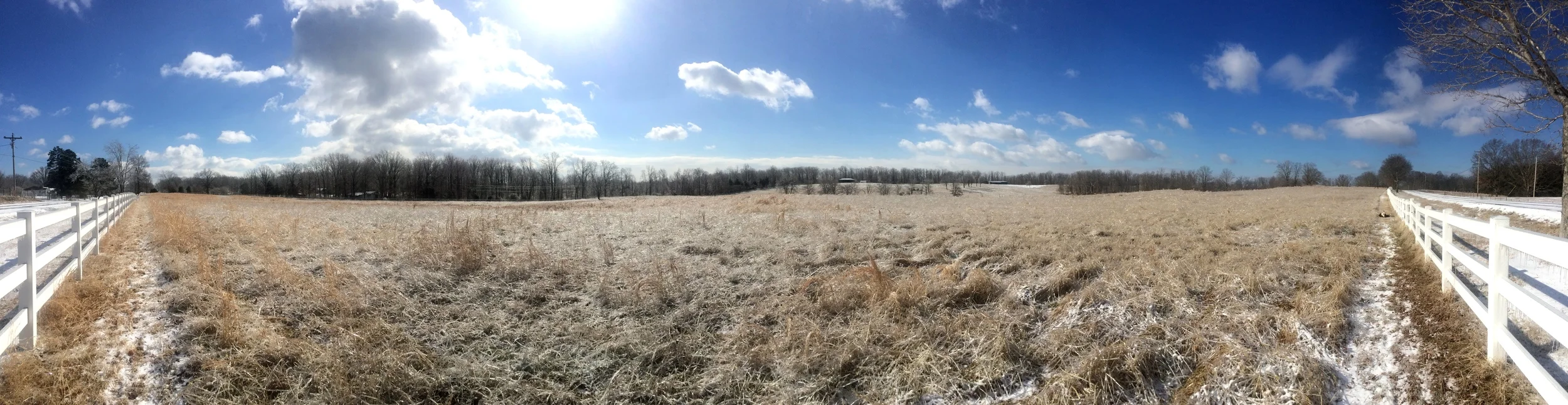 A panorama of the icy farm. Notice Winnie on the far right is rolling around. 