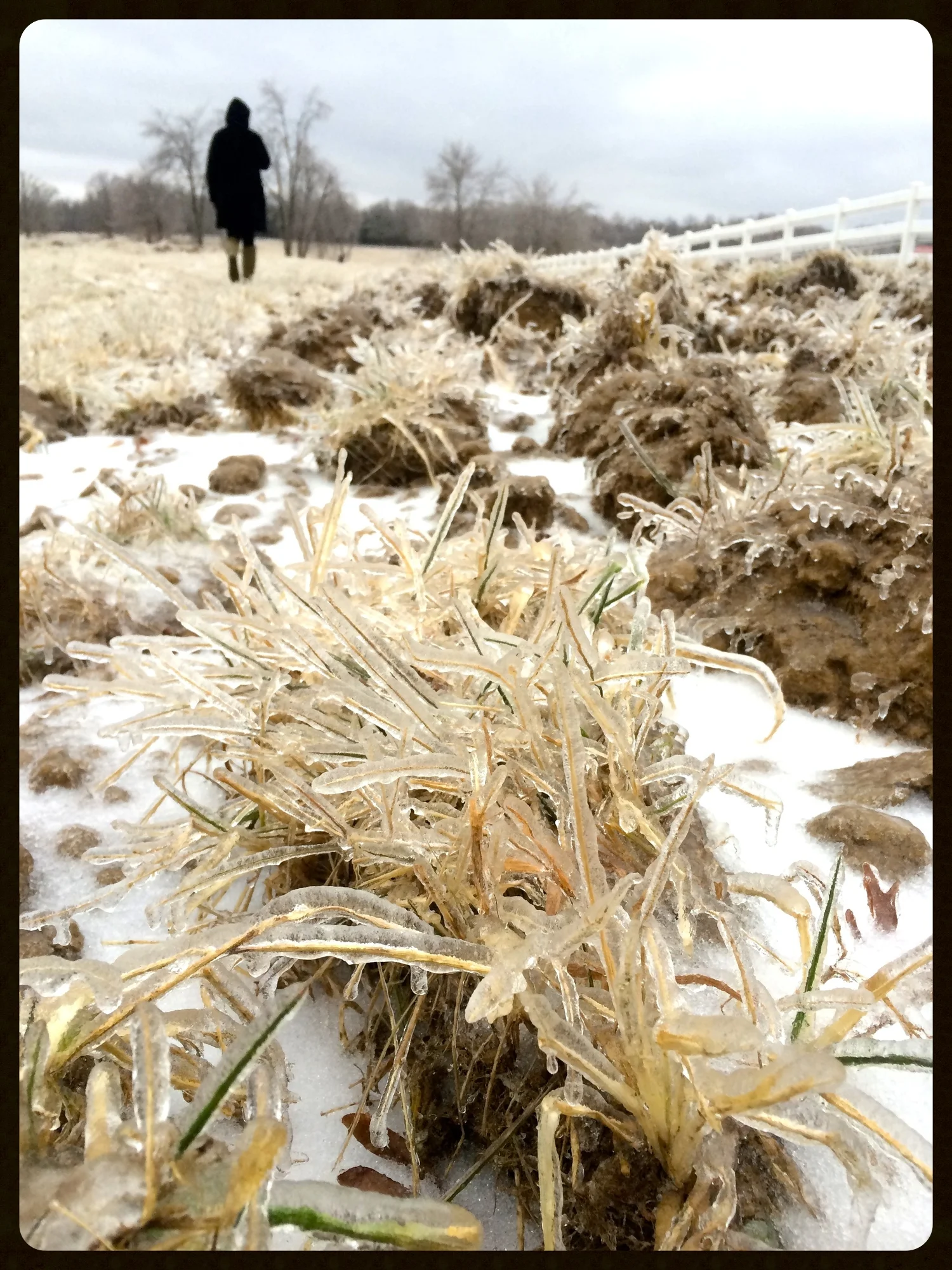 IMG_7307 - Version 2.jpg