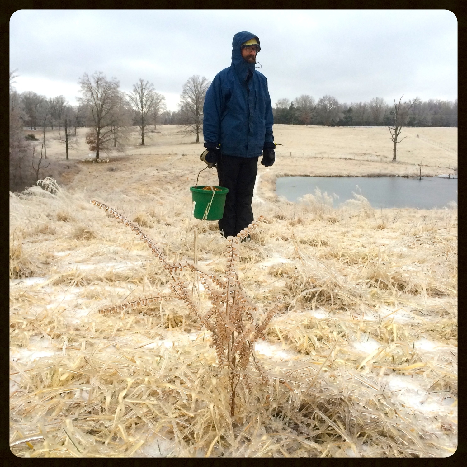 IMG_7313 - Version 2.jpg