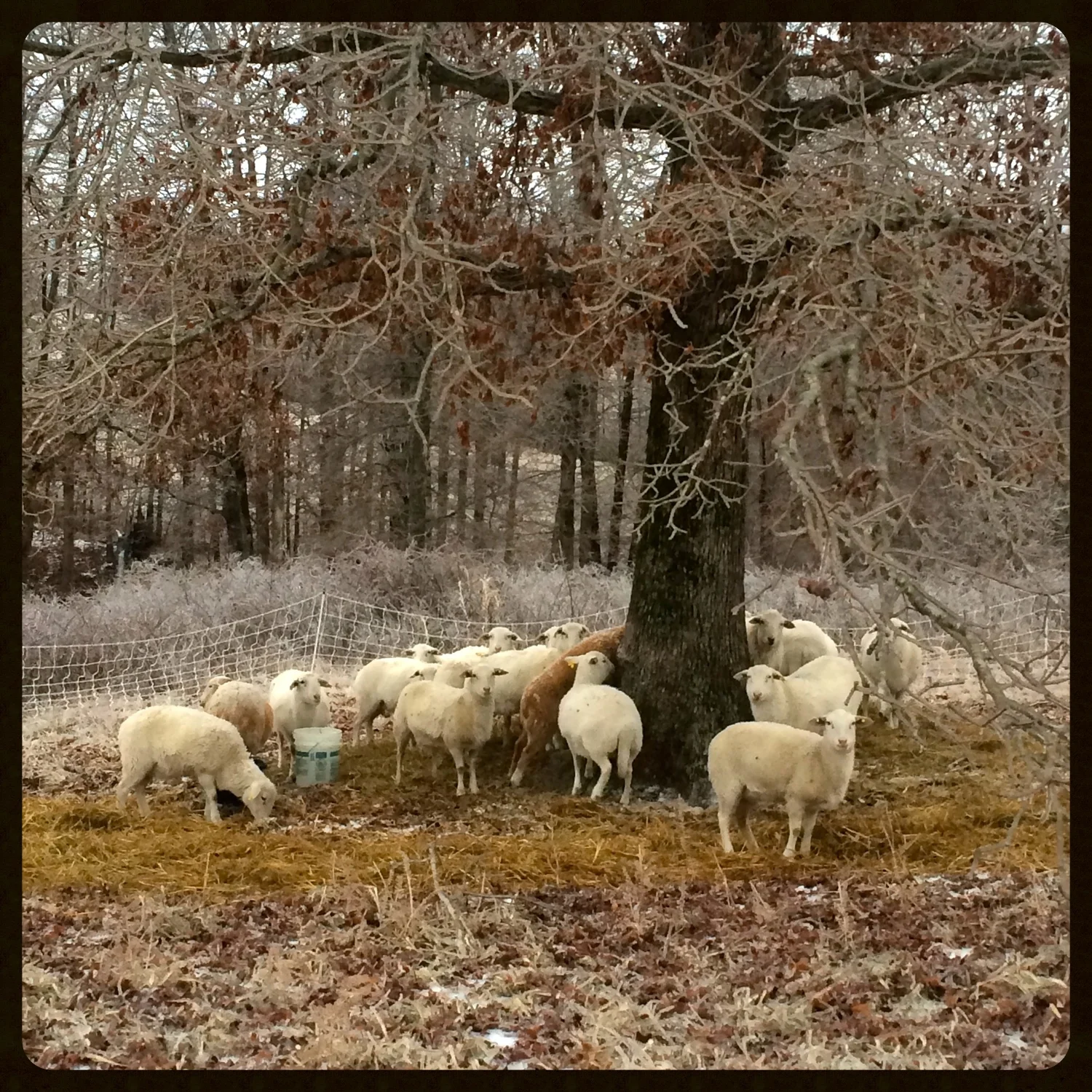 IMG_7316 - Version 2.jpg