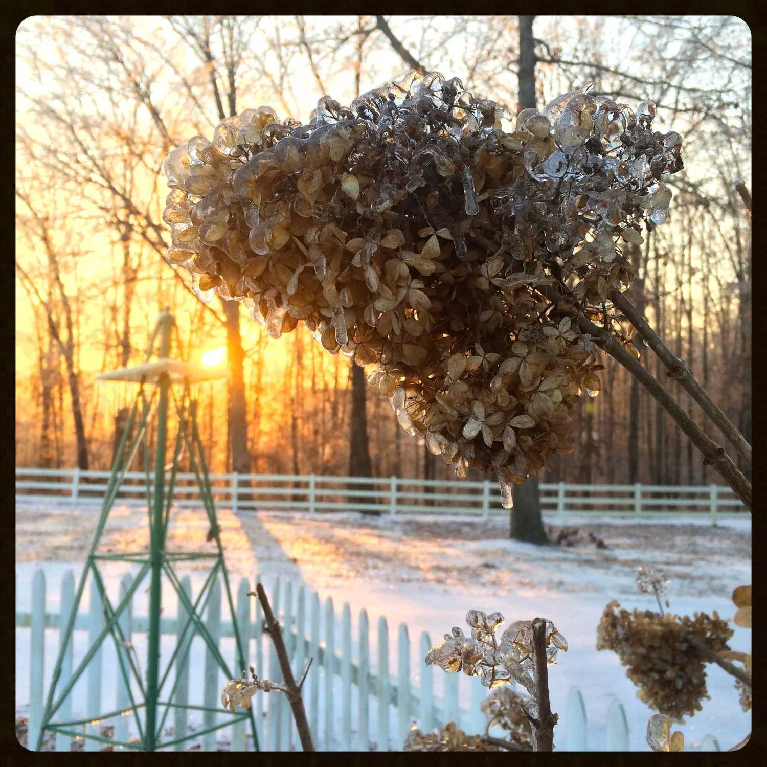 IMG_7328 - Version 2.jpg