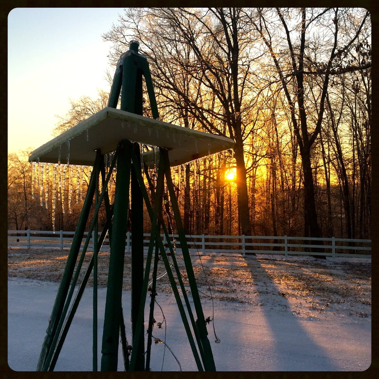 IMG_7330 - Version 2.jpg