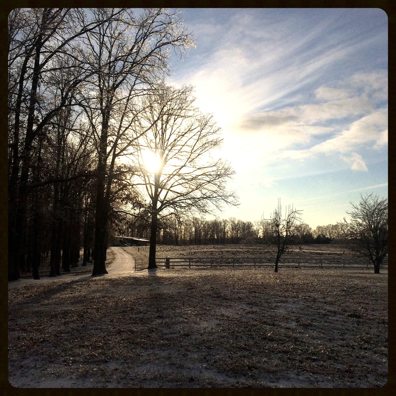 IMG_7340 - Version 2.jpg