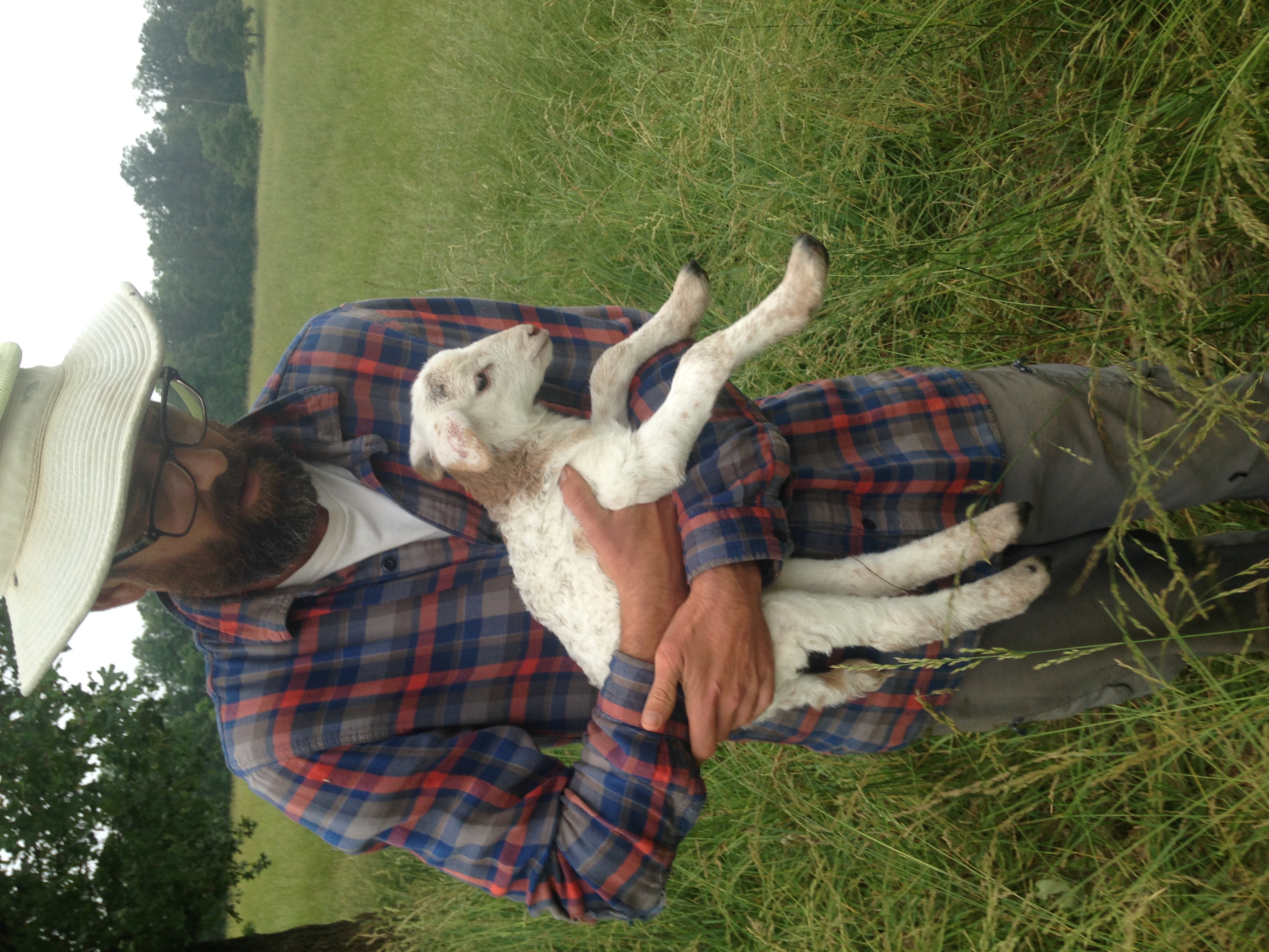 Here's our first lamb. This is right before we tagged her little ear. 