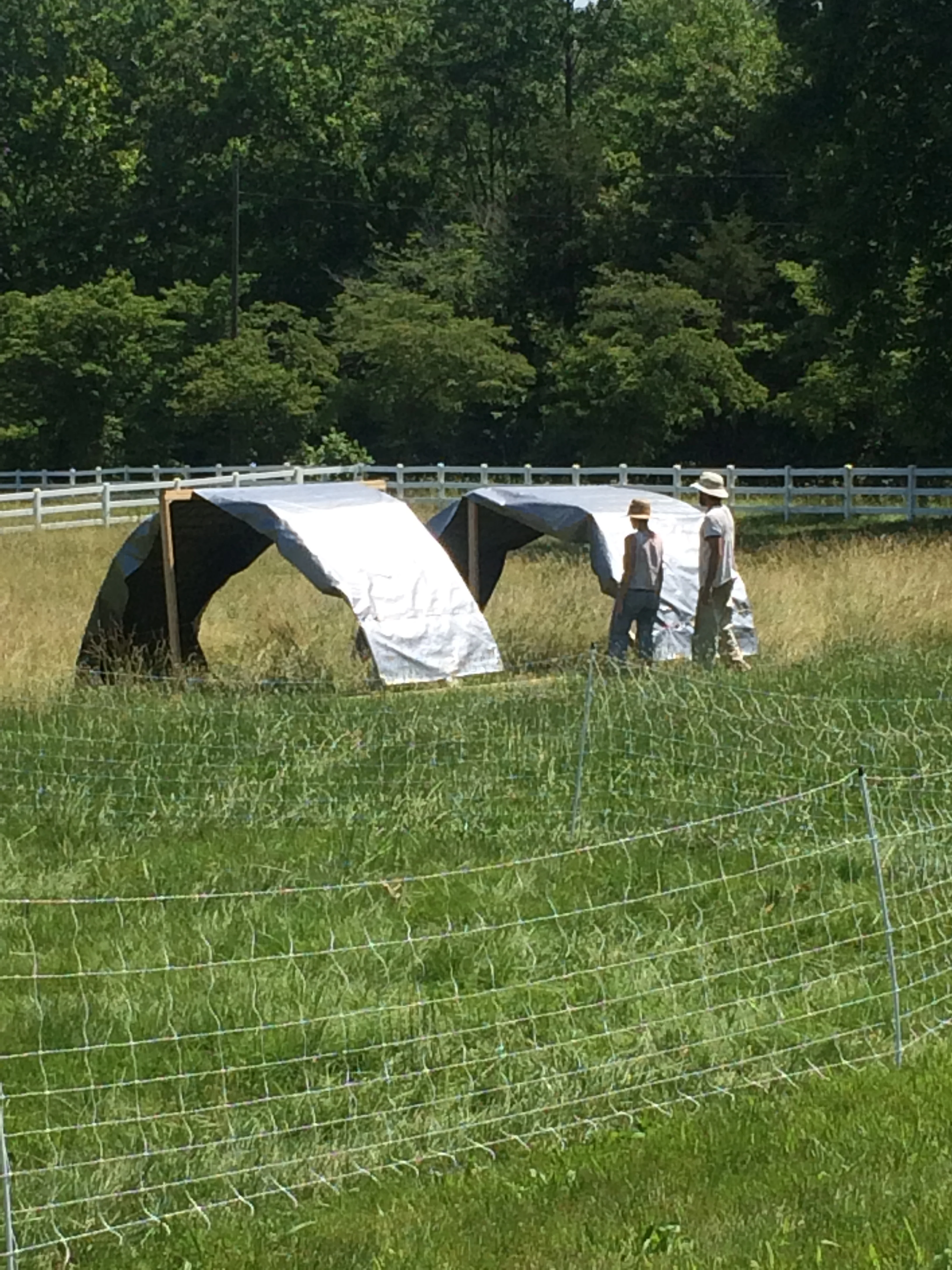 Marni and Jesse setting up shade shelters