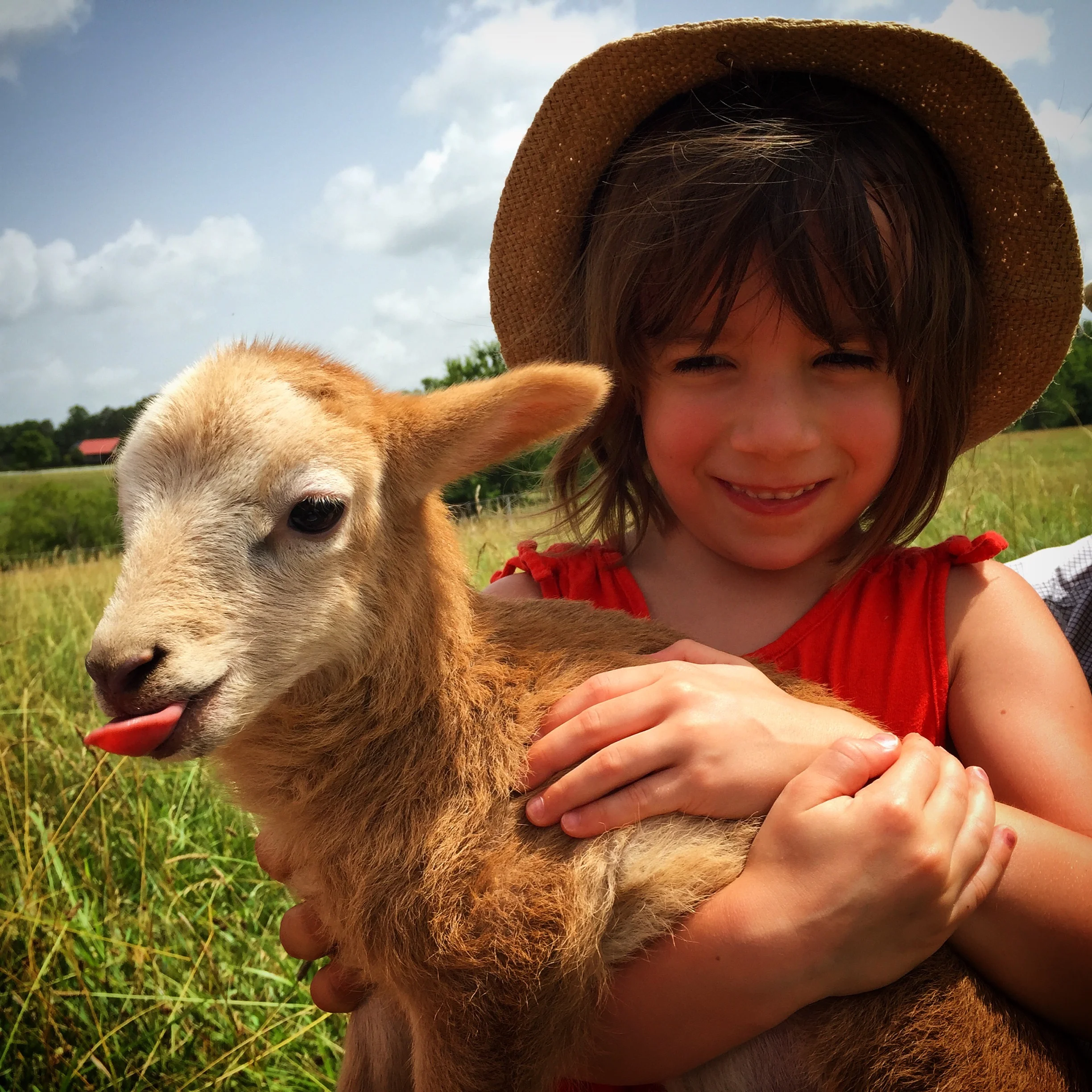 Lottie and the lamb