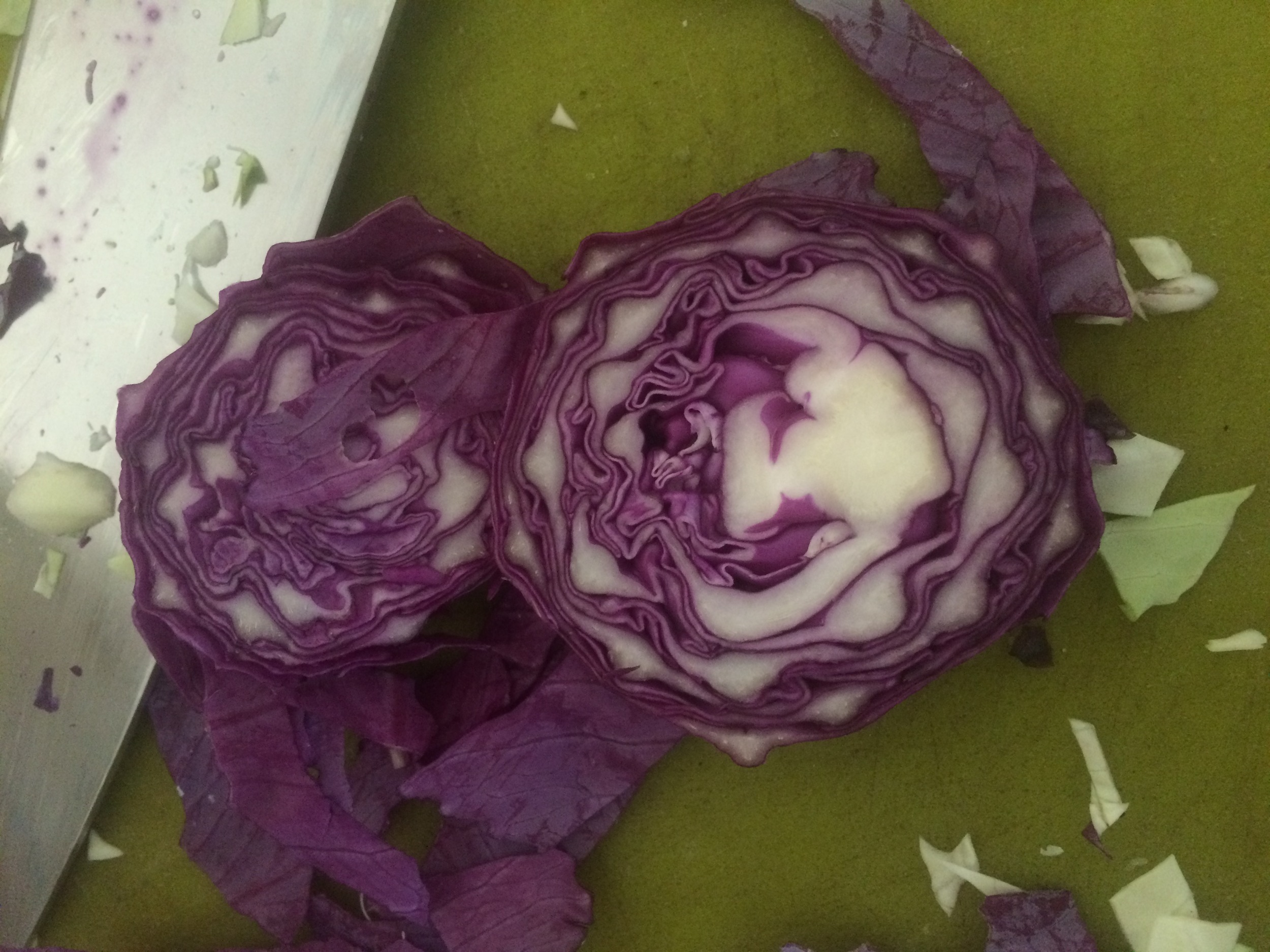 I love the designs purple cabbage makes!