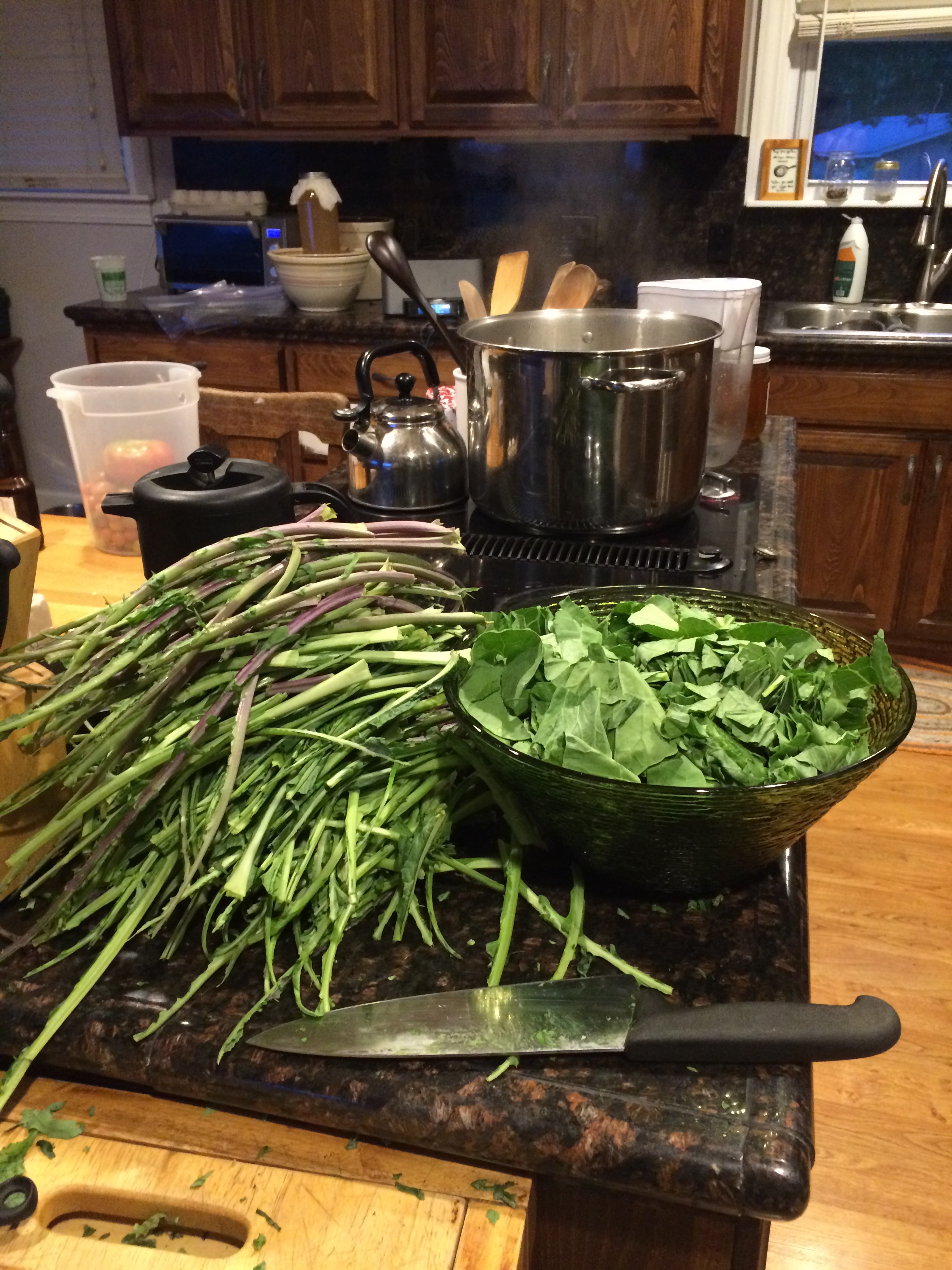 Putting up kale! I plan to ferment those stems. yum!