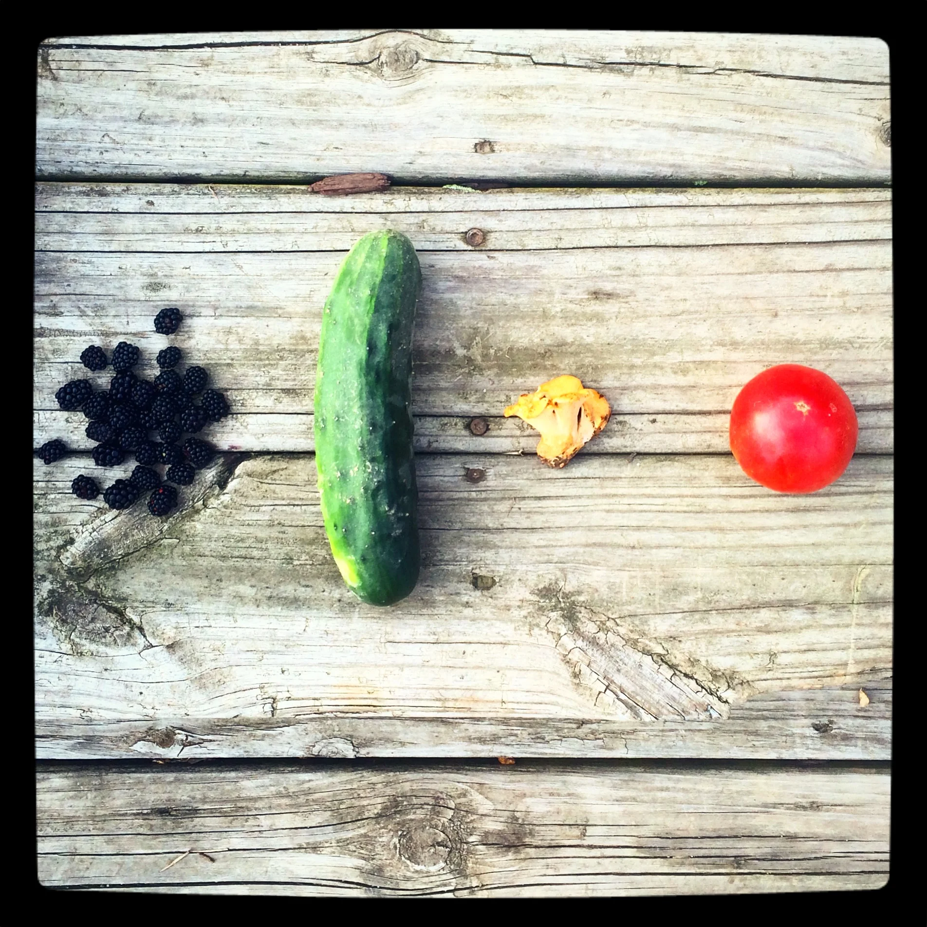 Blackberries, cucumber, chanterelle, tomato: LIFE!