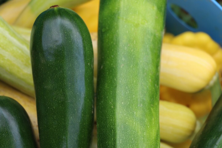 summer squashes! 