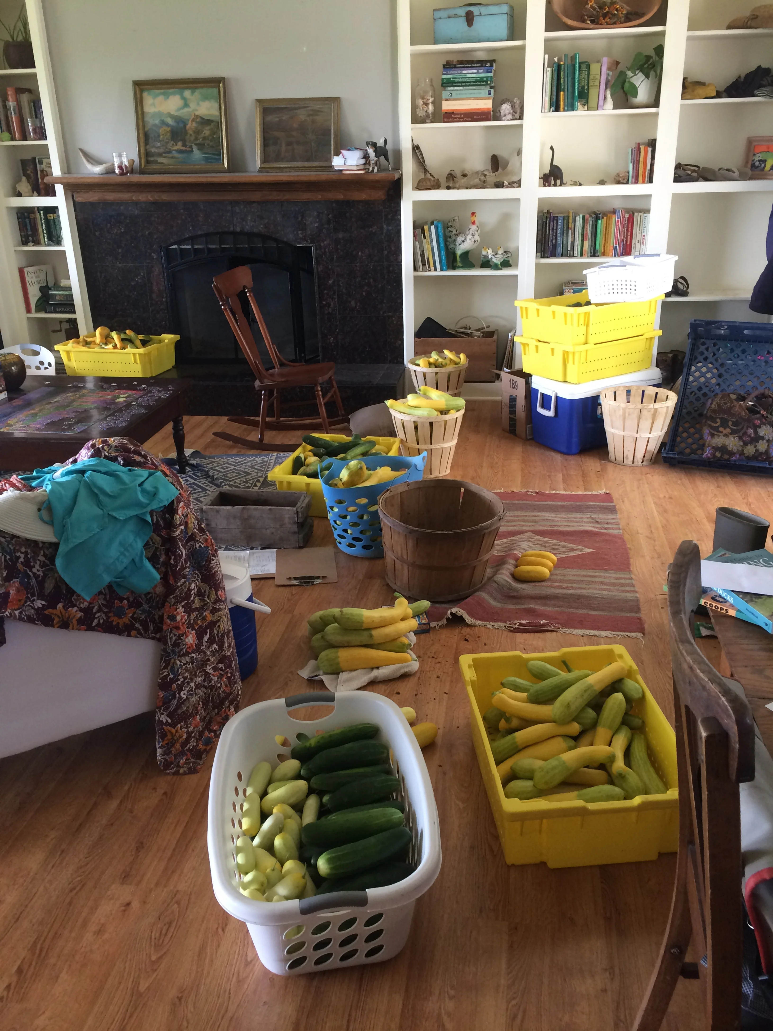 we are in desperate need of a real cooler. 