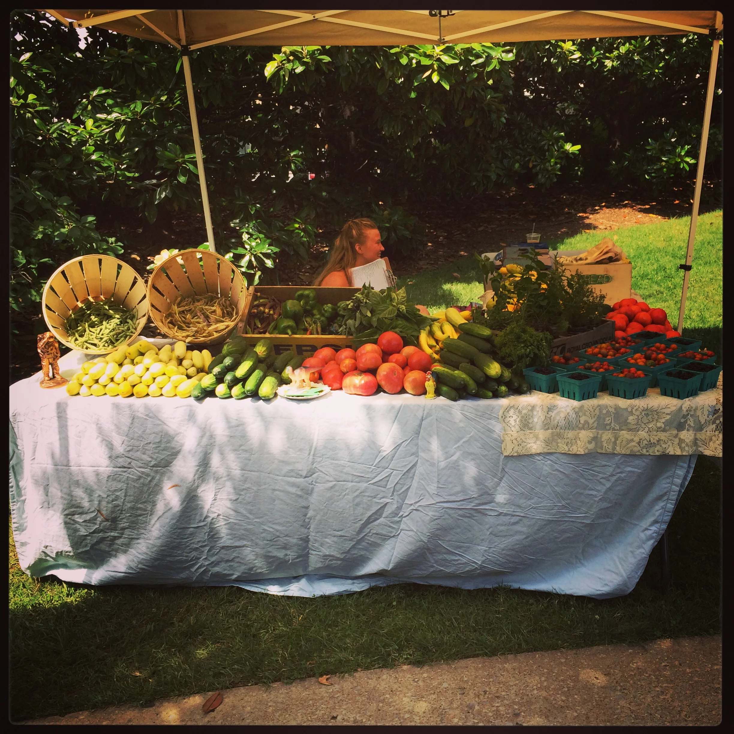 Vanderbilt Farmers market