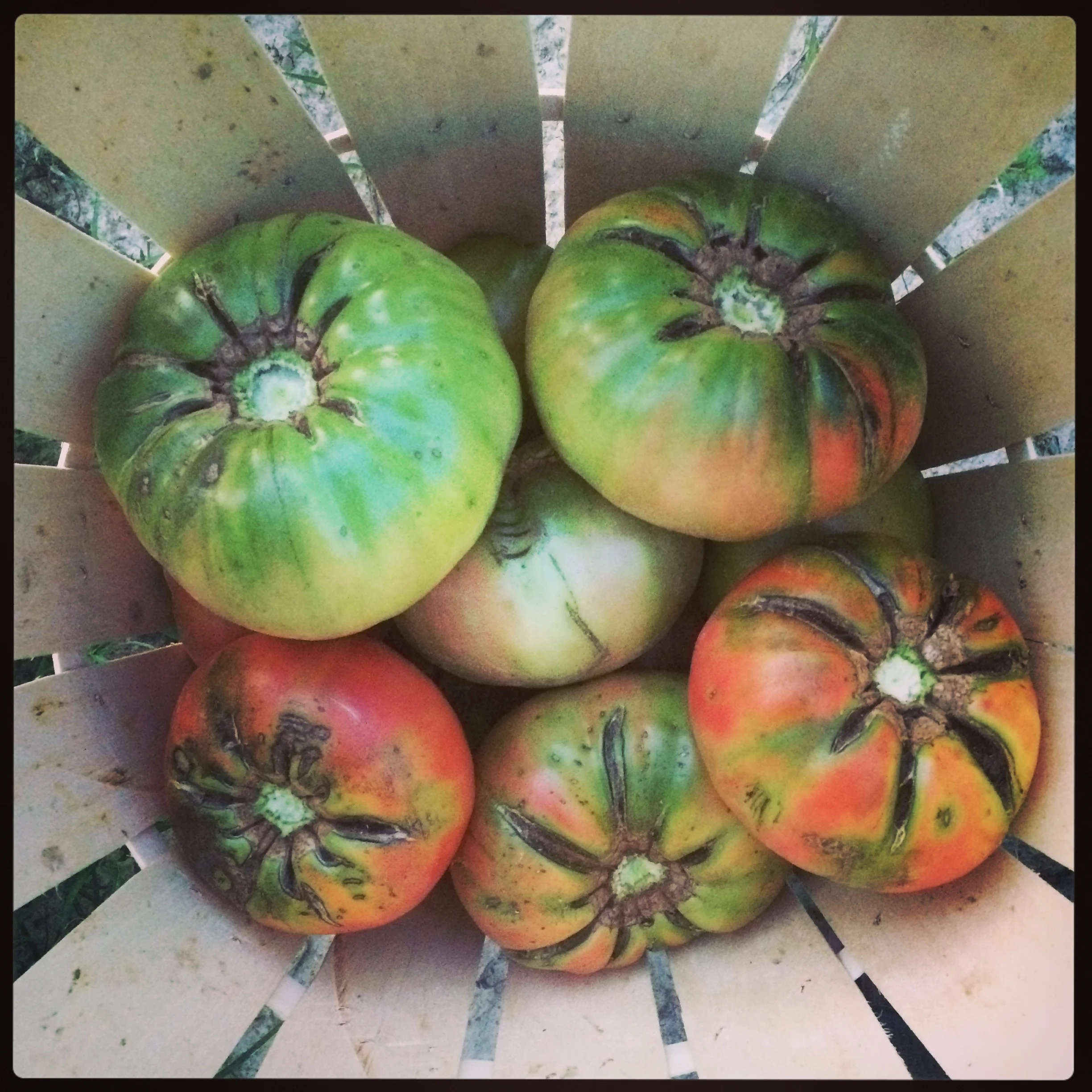 Heirlooms!