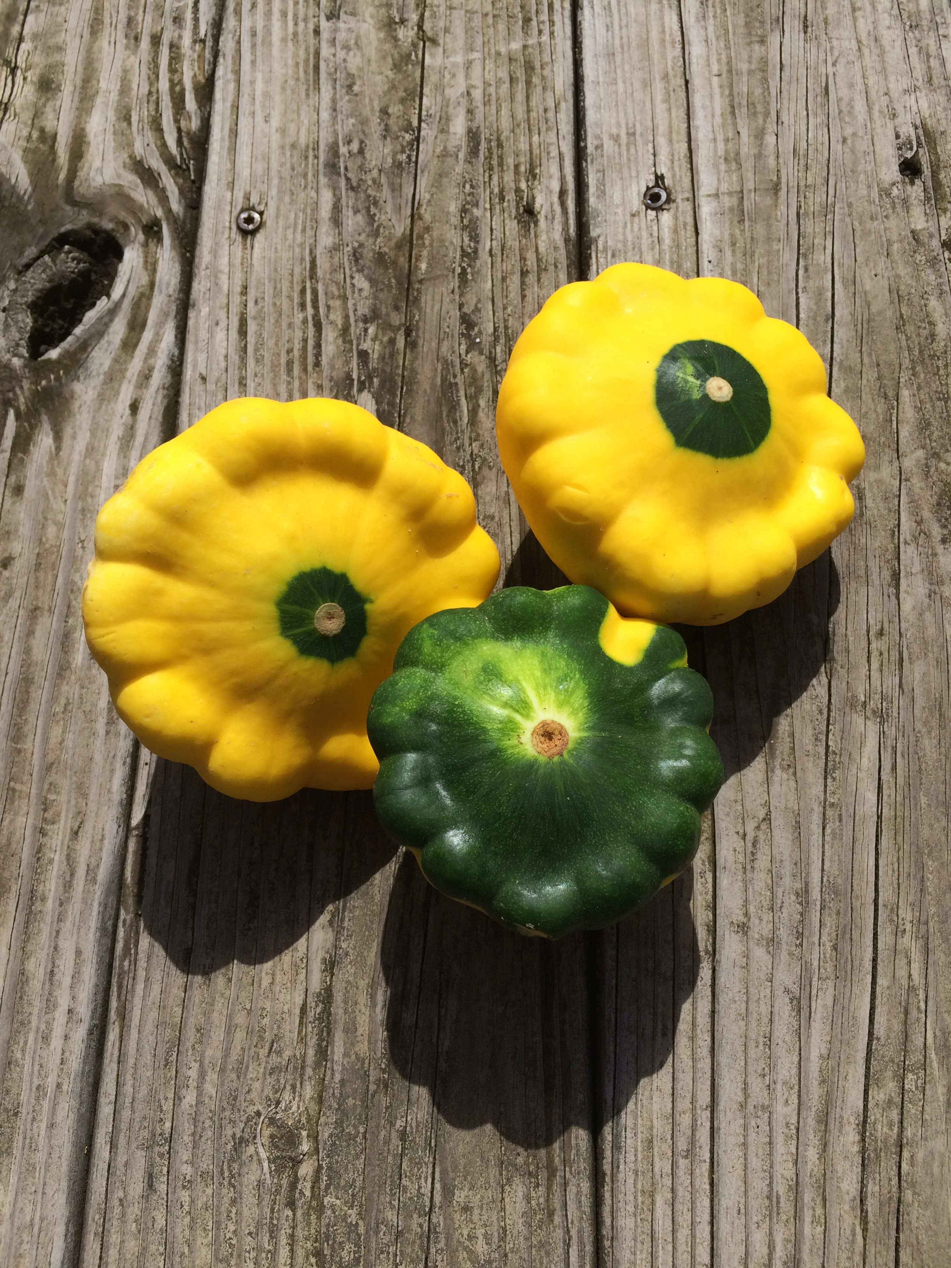 Patty Pans