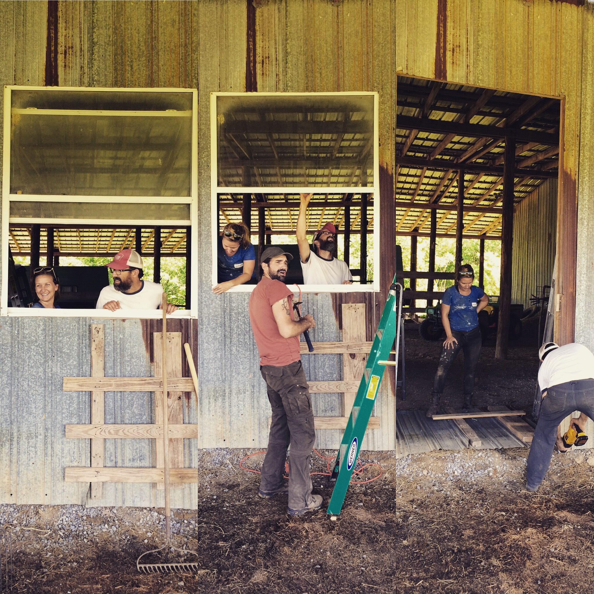 That time we obliterated the window and made a doorway in the barn! 