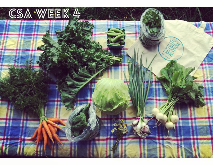 Carrots, kale, spinach or lettuce, cabbage, chamomile, sugar snap peas, green onions, salad turnips or radishes, braising greens (baby mustards and baby kale!) Bag not included! but!! They are on sale for $8 for CSA and credit members! 